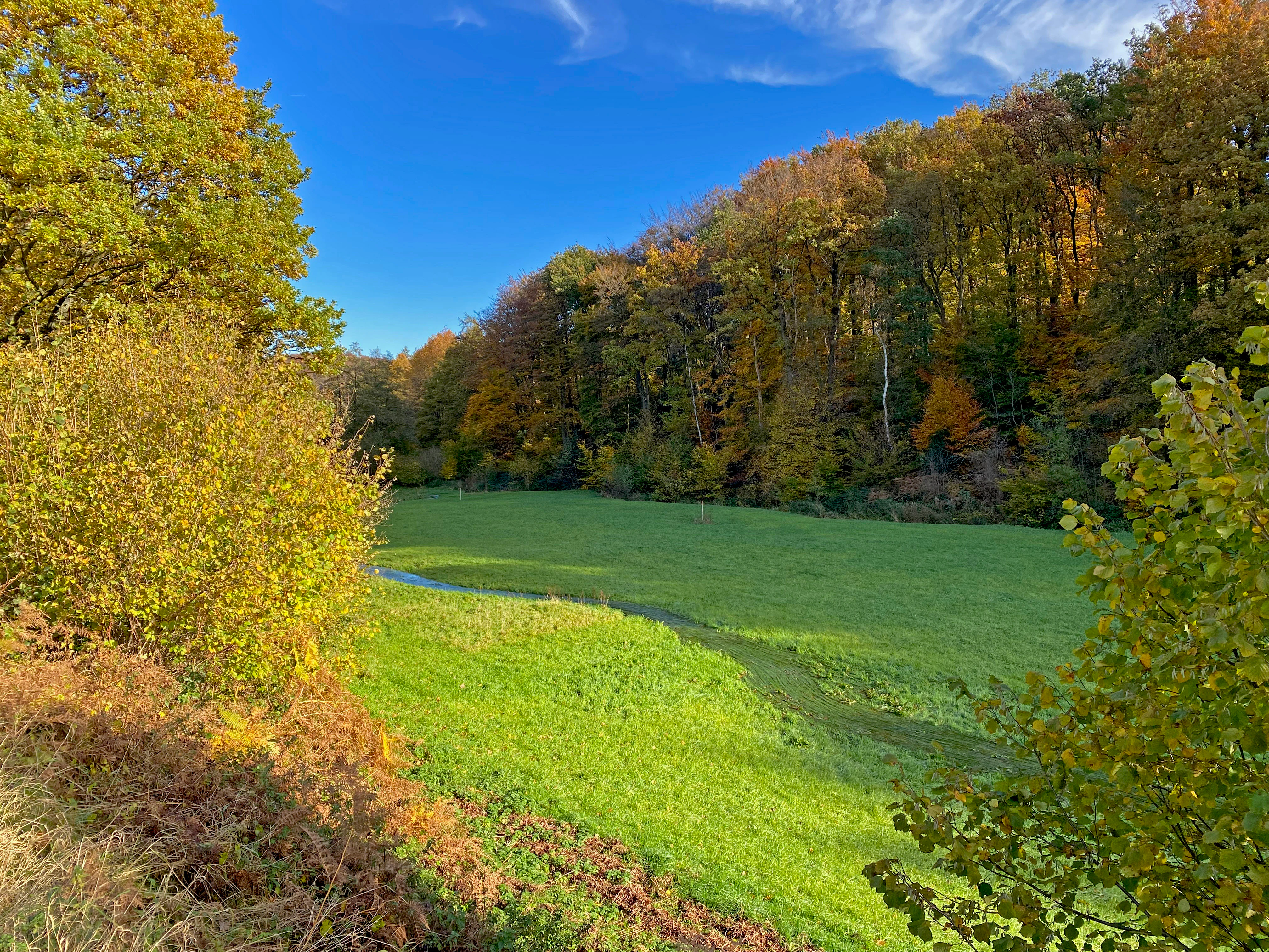 A green, open meadow in a valley bordered by autumn-colored trees under a clear blue sky, with a small stream winding through the grass.