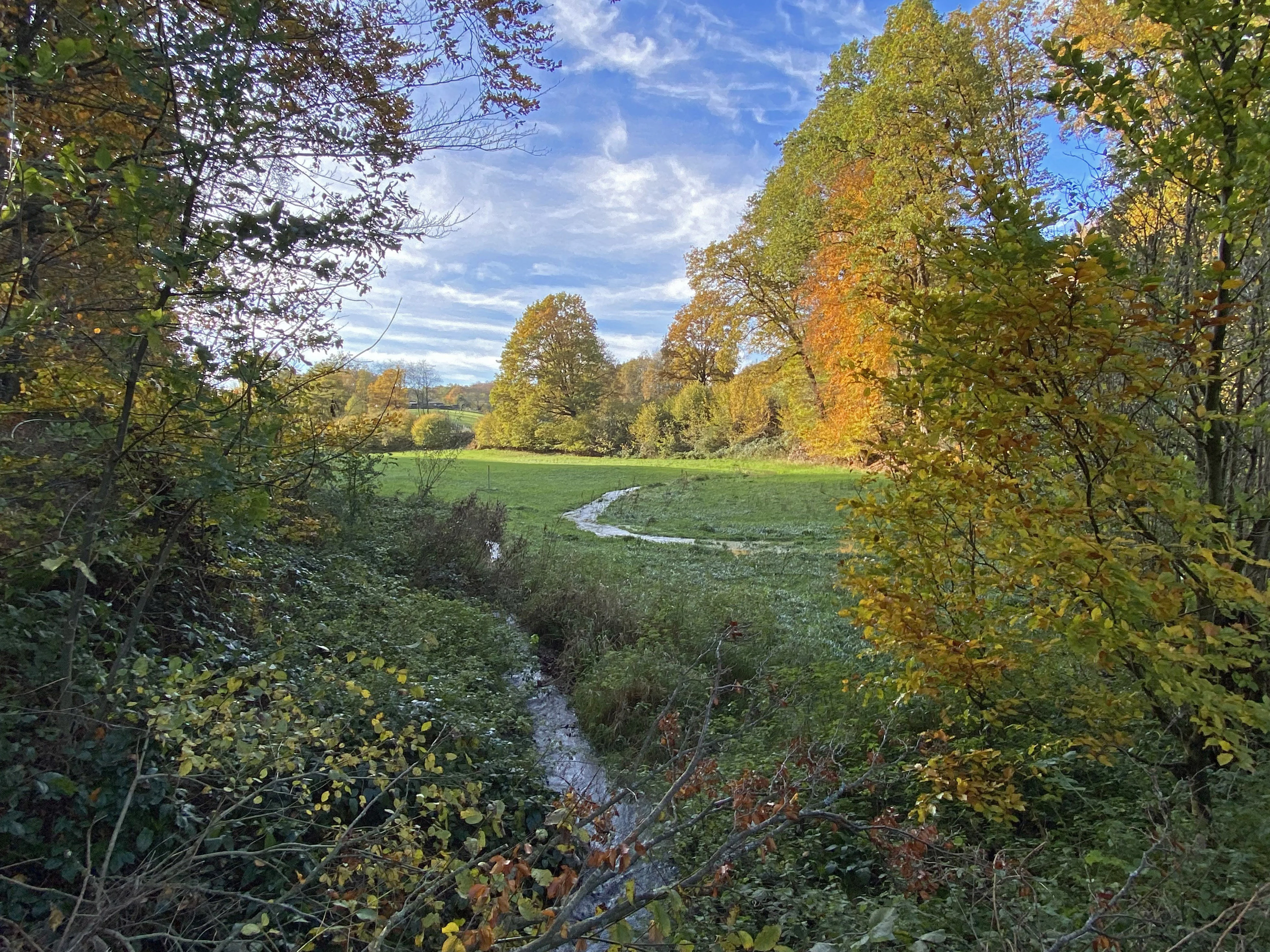 A peaceful stream winds through a green meadow surrounded by autumn-colored trees and dense woodland.