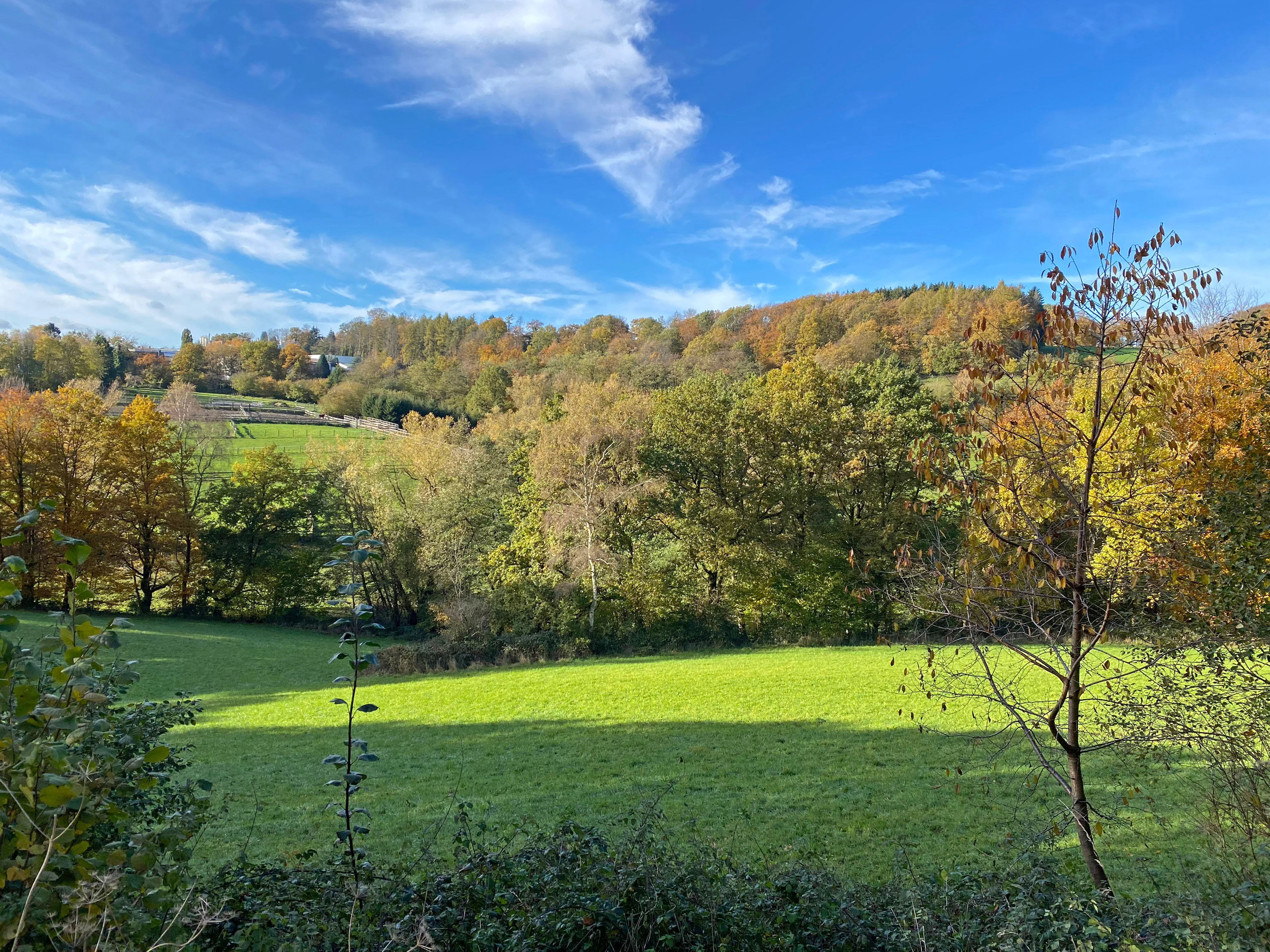 A wide shot of a valley featuring a vibrant green meadow in the foreground and a forested hillside with autumn foliage in the background under a blue sky.