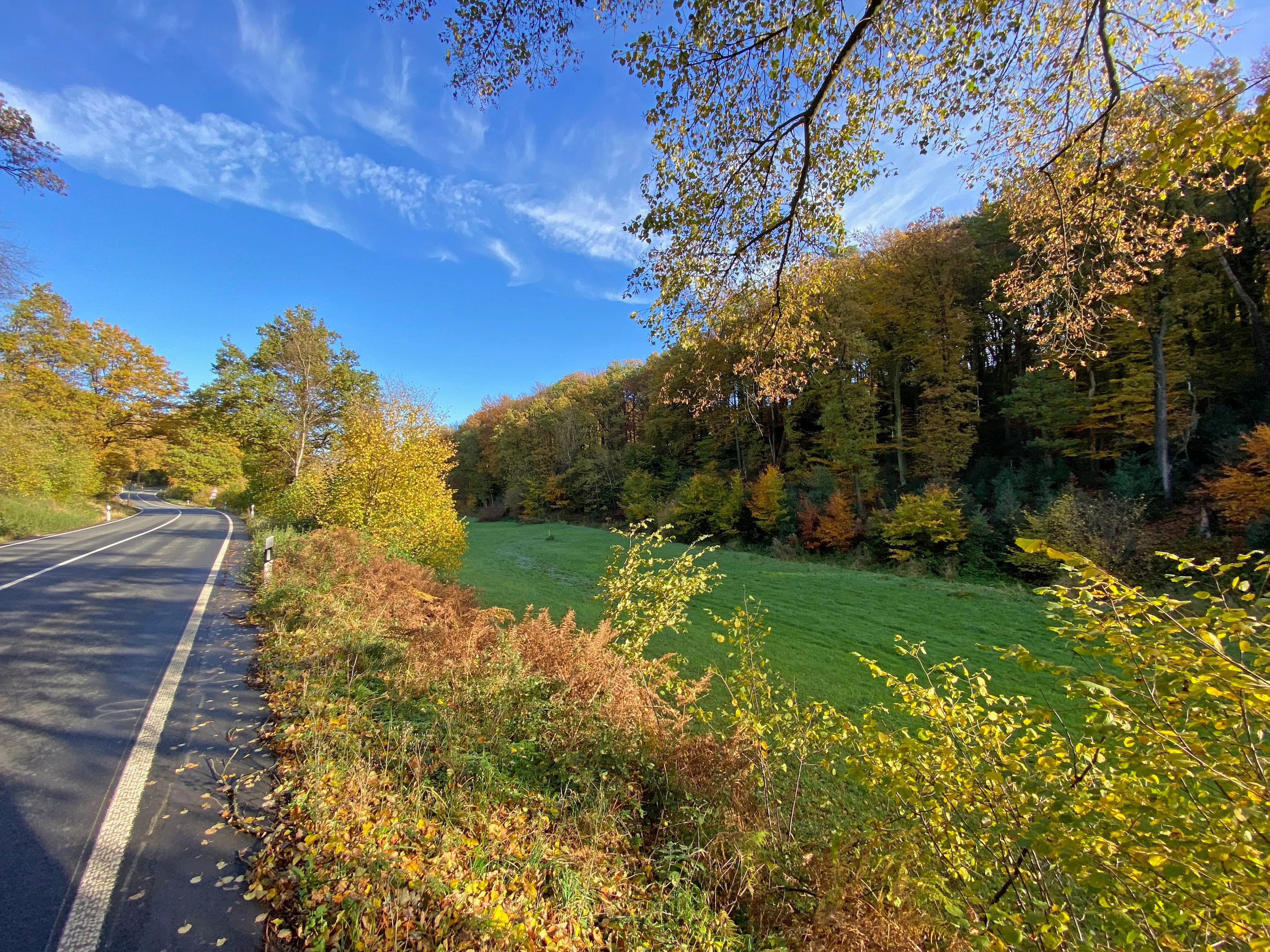 A paved road runs alongside a vibrant green meadow bordered by a forest with autumn foliage under a bright blue sky.