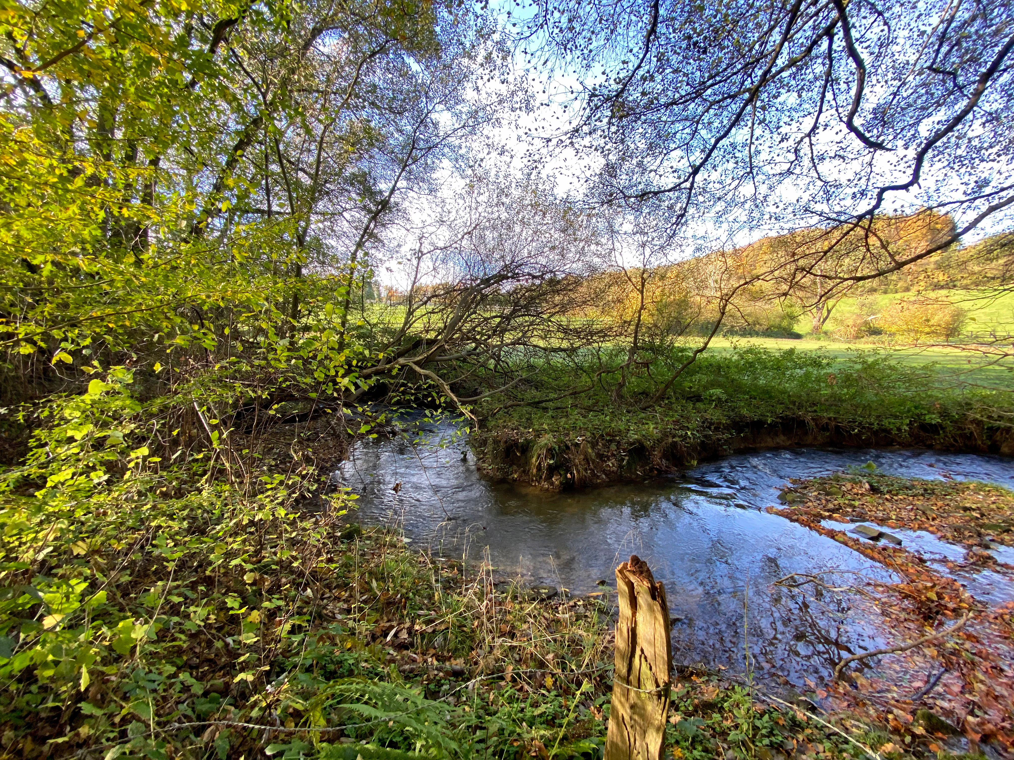 A small, winding stream flows through a rural valley, flanked by lush green trees and shrubs with a grassy hillside in the background during autumn.