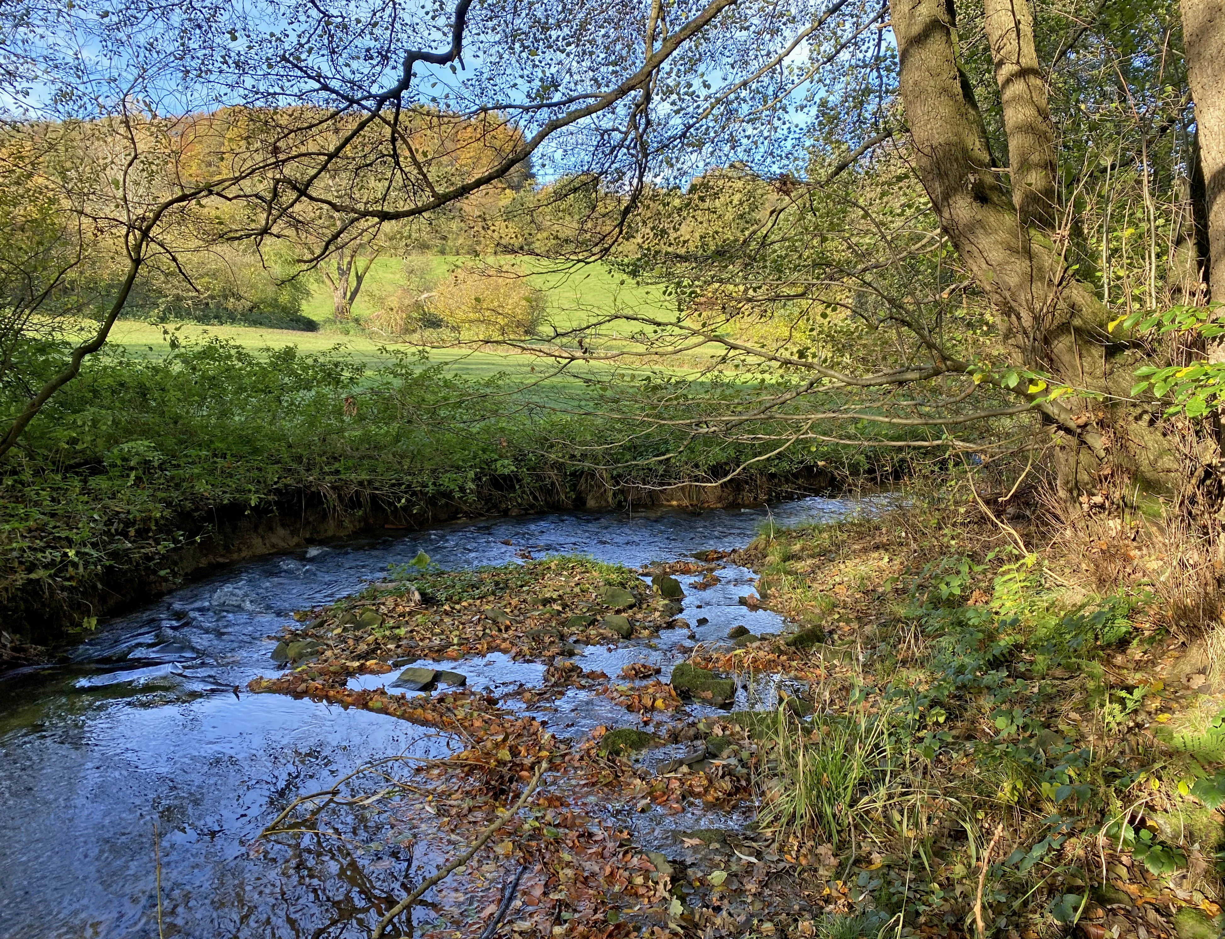 A small, shallow stream winds through a green, grassy valley with deciduous trees framing the view during autumn.