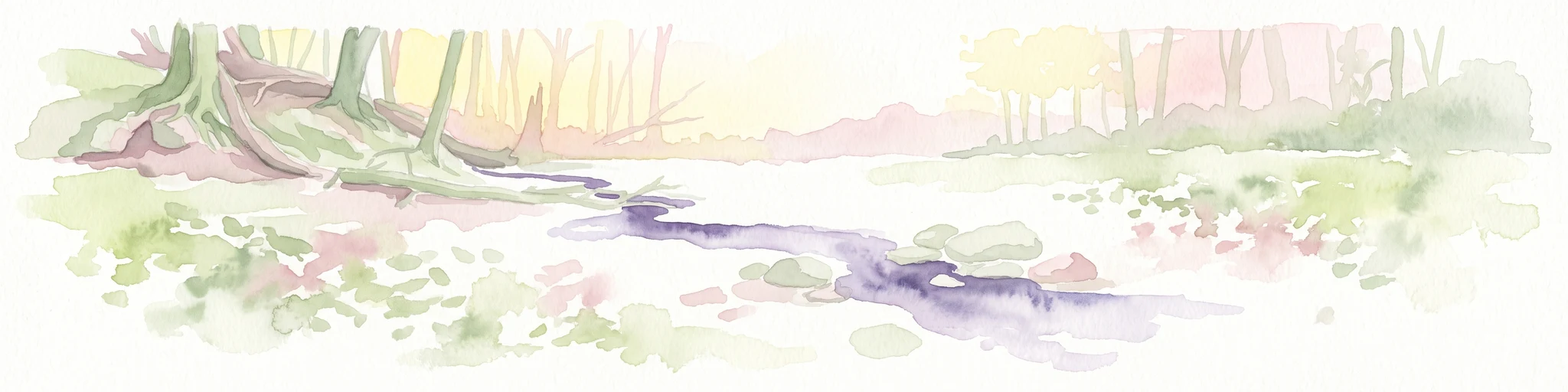 A watercolor-style illustration showing a purple stream winding through a forest floor with green vegetation, tree trunks and exposed roots on the left, and soft pink and yellow light in the background.