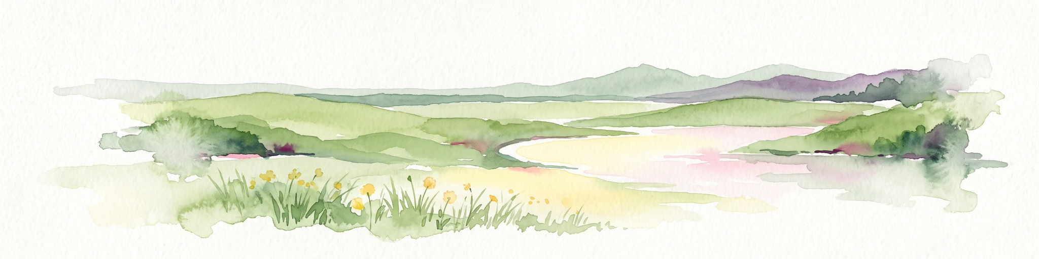 A watercolor painting showing a soft, green, rolling valley with a stream and yellow wildflowers in the foreground against a light, distant hilly horizon.