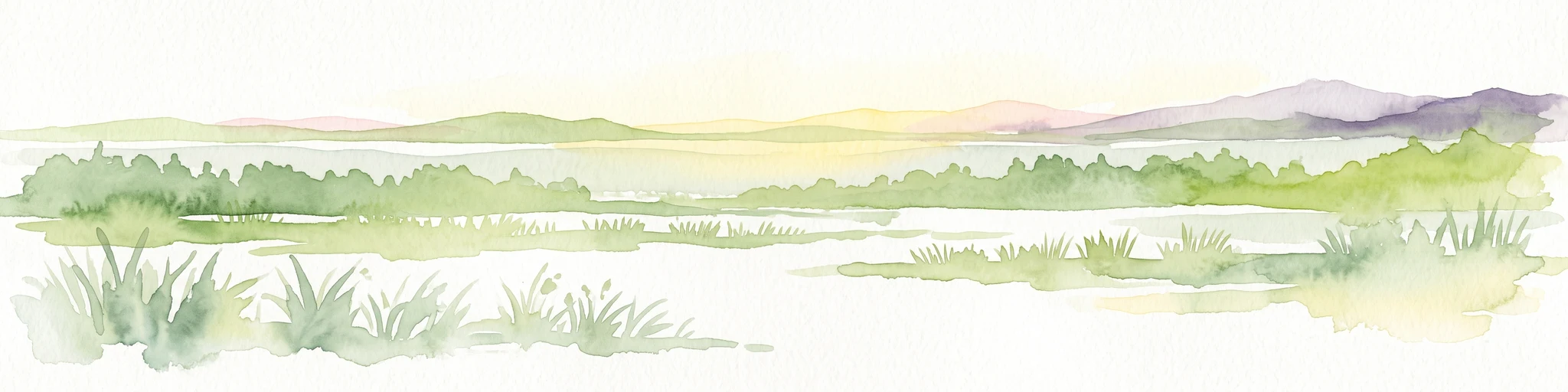 A watercolor painting of a grassy marshland with low hills in the background under a soft light.