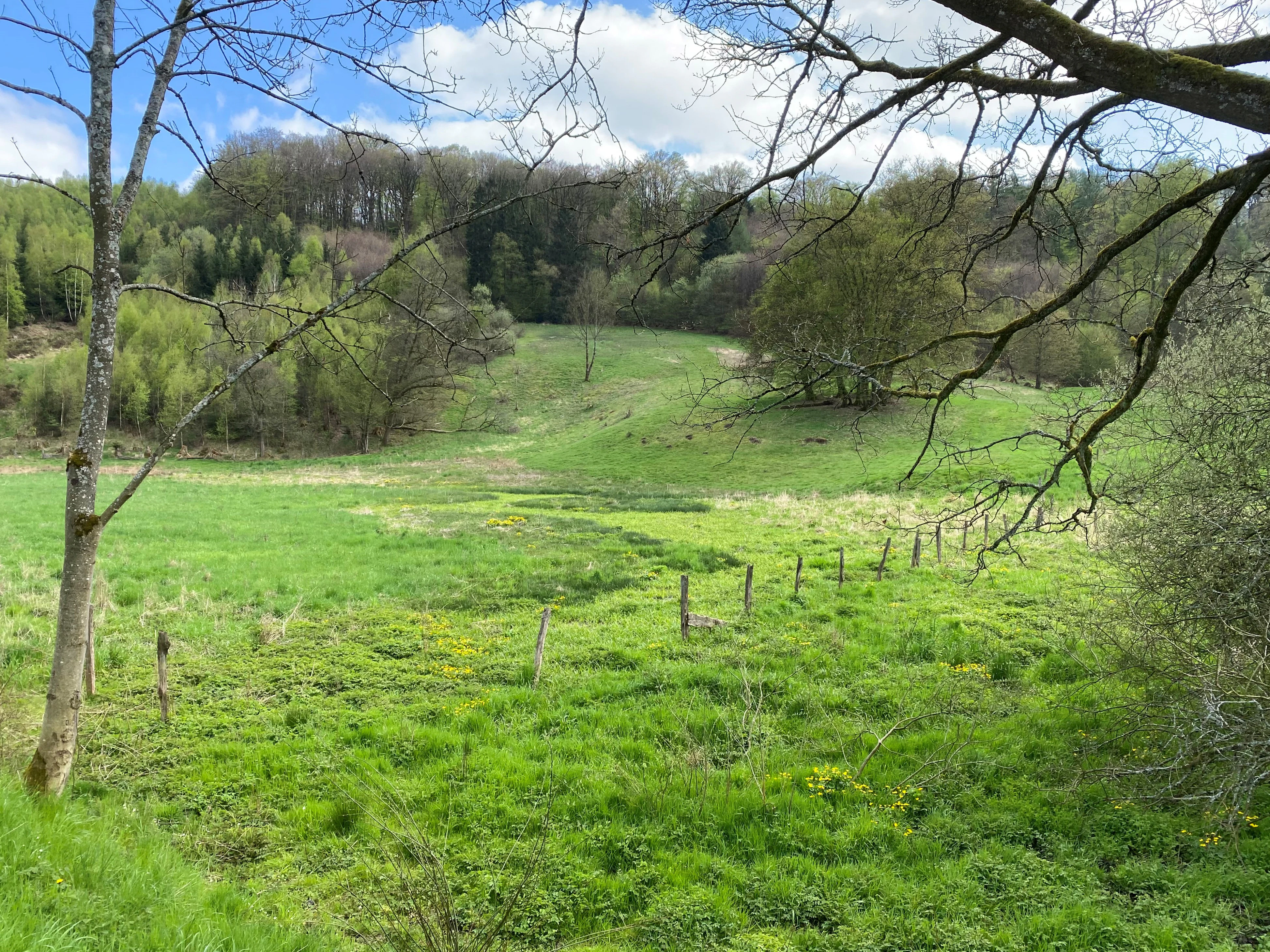 A green, hilly meadow landscape with a wooden fence line stretching into the distance under a blue sky with light clouds, framed by tree branches.