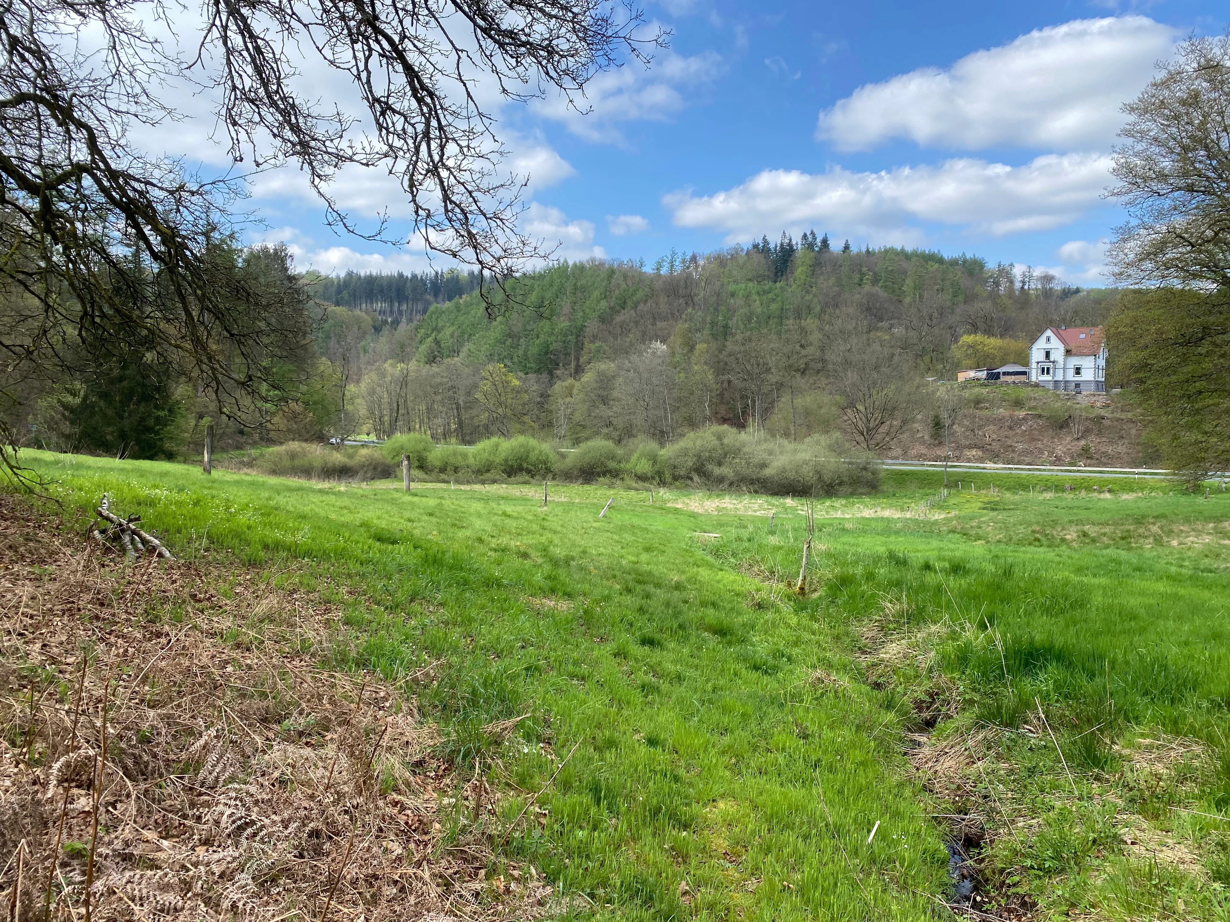 A wide view of a vibrant green grassy meadow in a German nature reserve, with a small stream, surrounding trees, and a white house on a hill in the background under a blue sky.