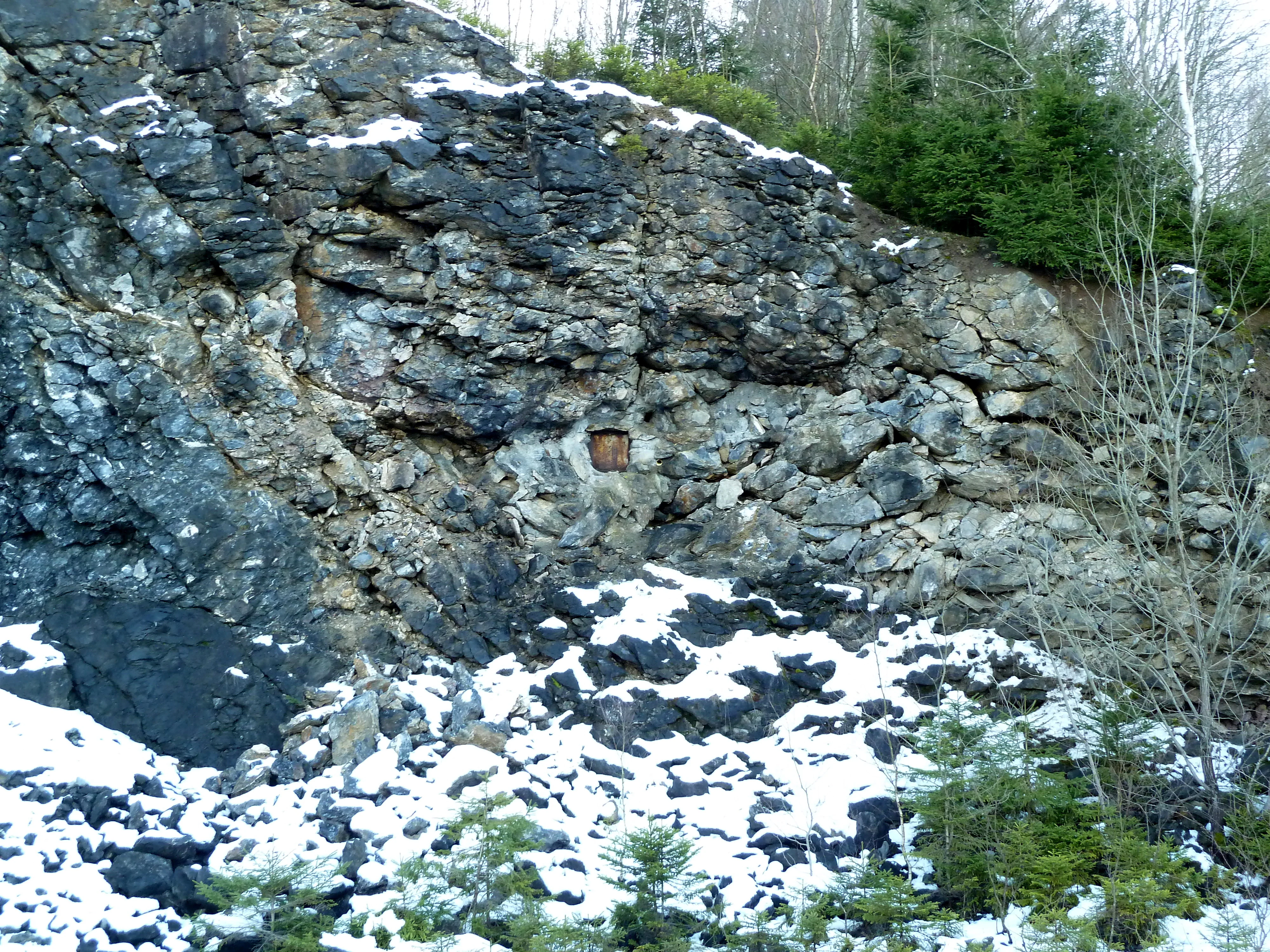 A gated, recessed entrance into a rocky cliff face, partially covered by snow and surrounded by coniferous trees.