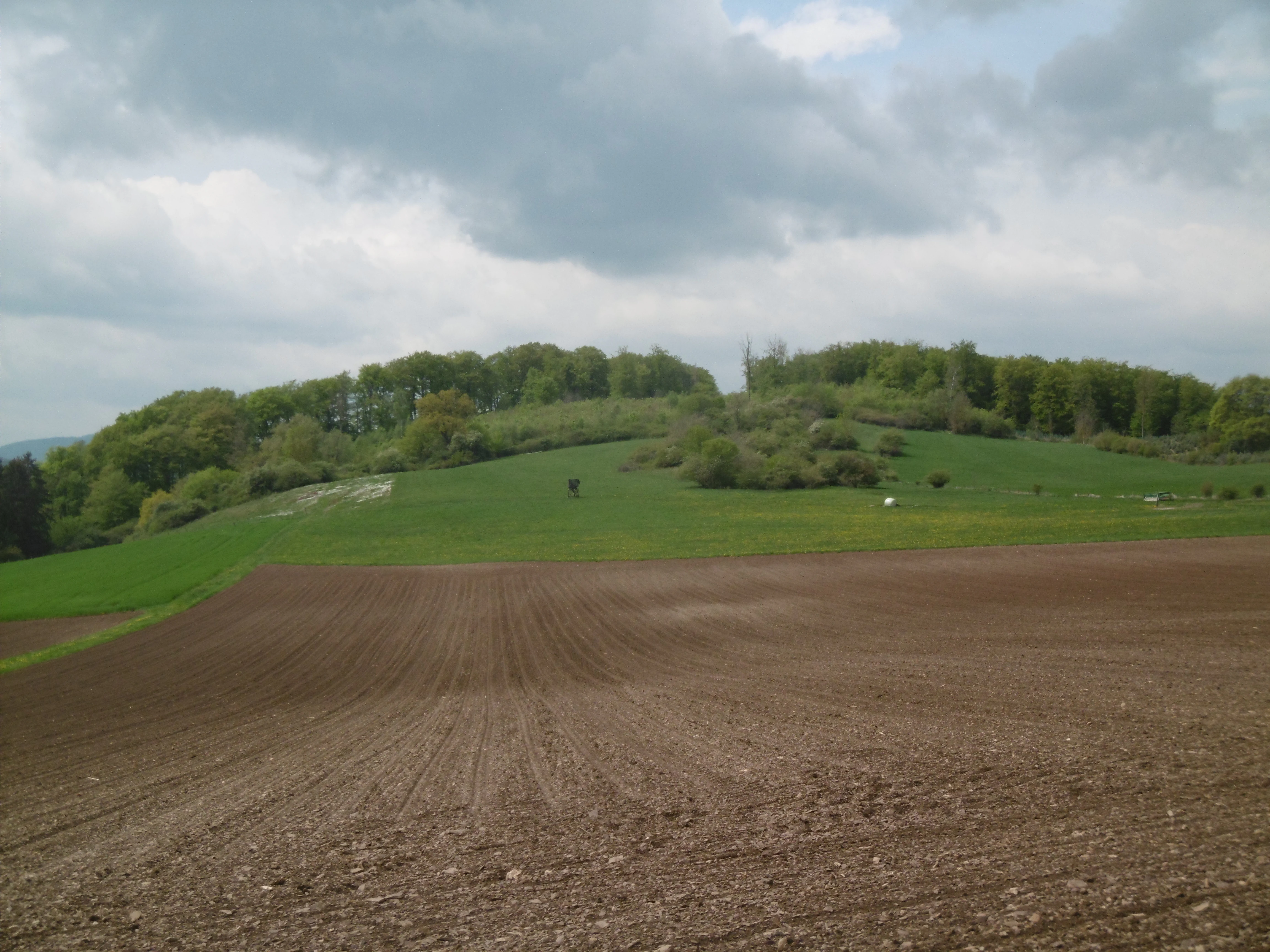 A wide landscape view showing a tilled brown field in the foreground, leading up to a green grassy slope with scattered shrubbery and a forest line in the background under a cloudy sky.