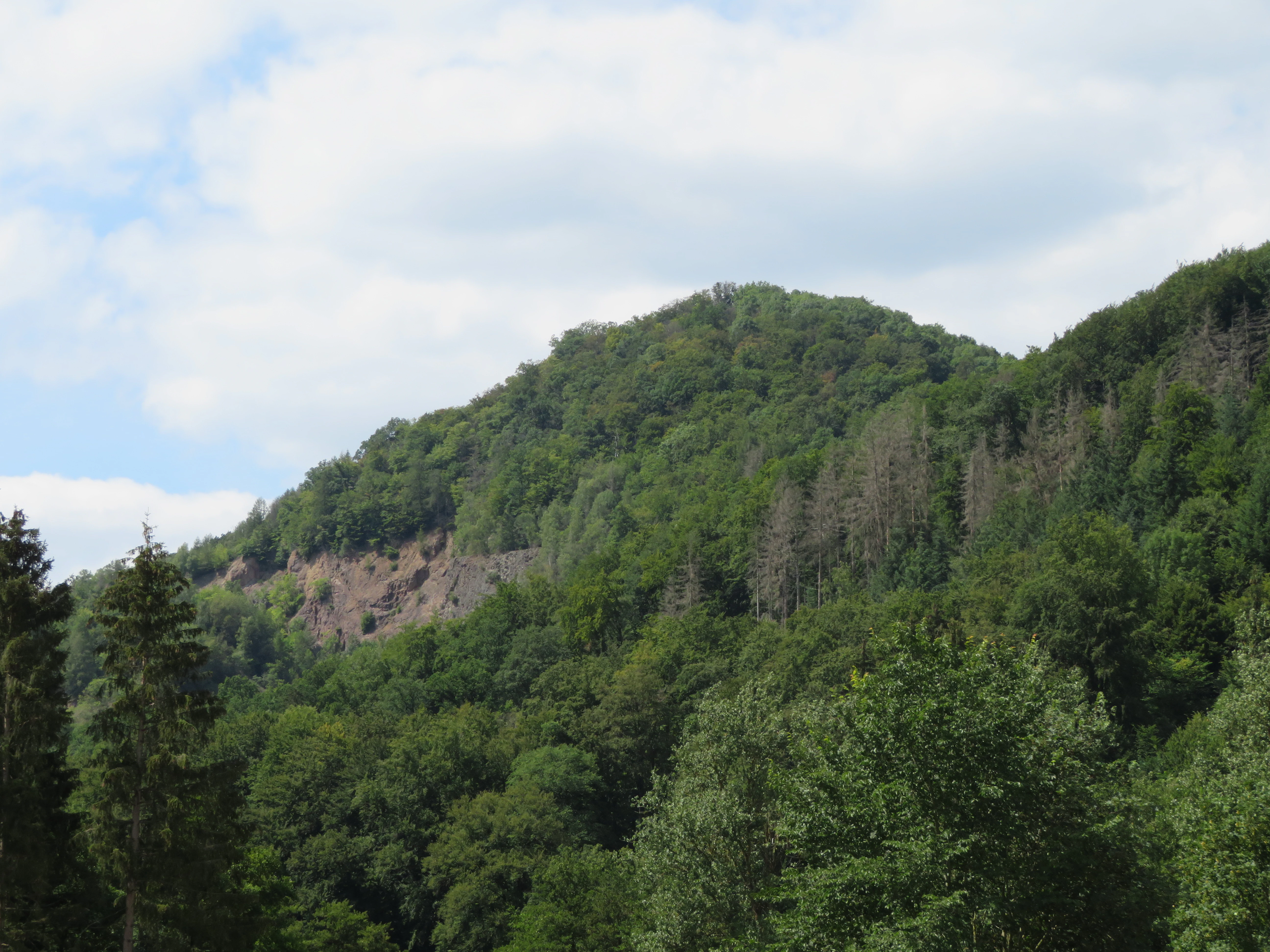 A wide outdoor view of a forested hillside with a rocky, light-colored quarry section exposed on the slope, under a partly cloudy sky.