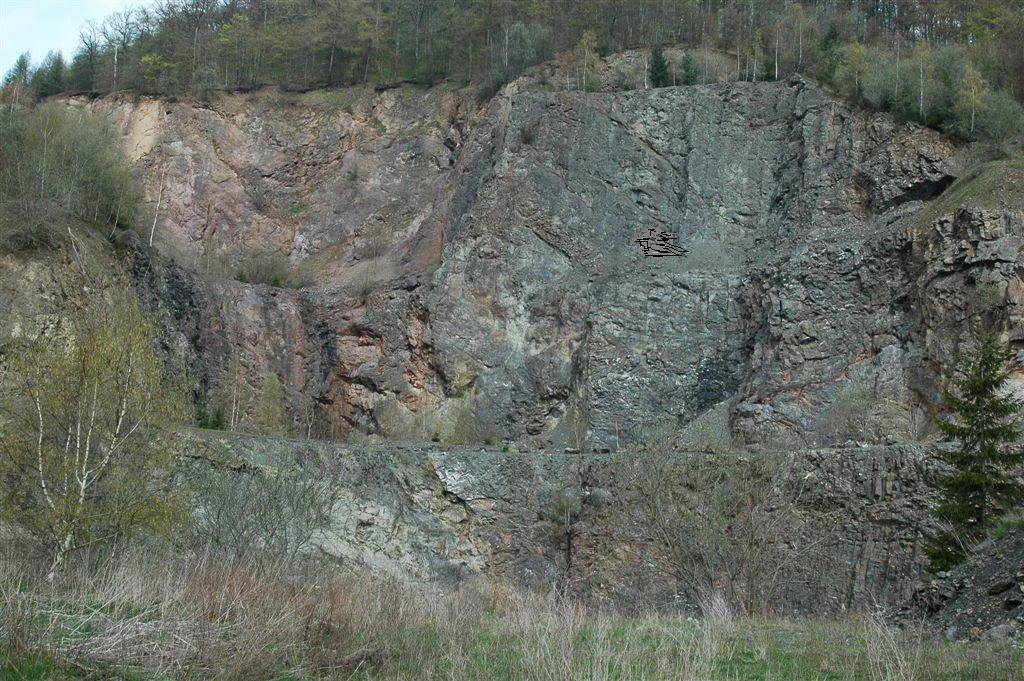 A wide shot of a rock quarry face with vertical cliff sections, surrounded by forest and brush, within a nature reserve.