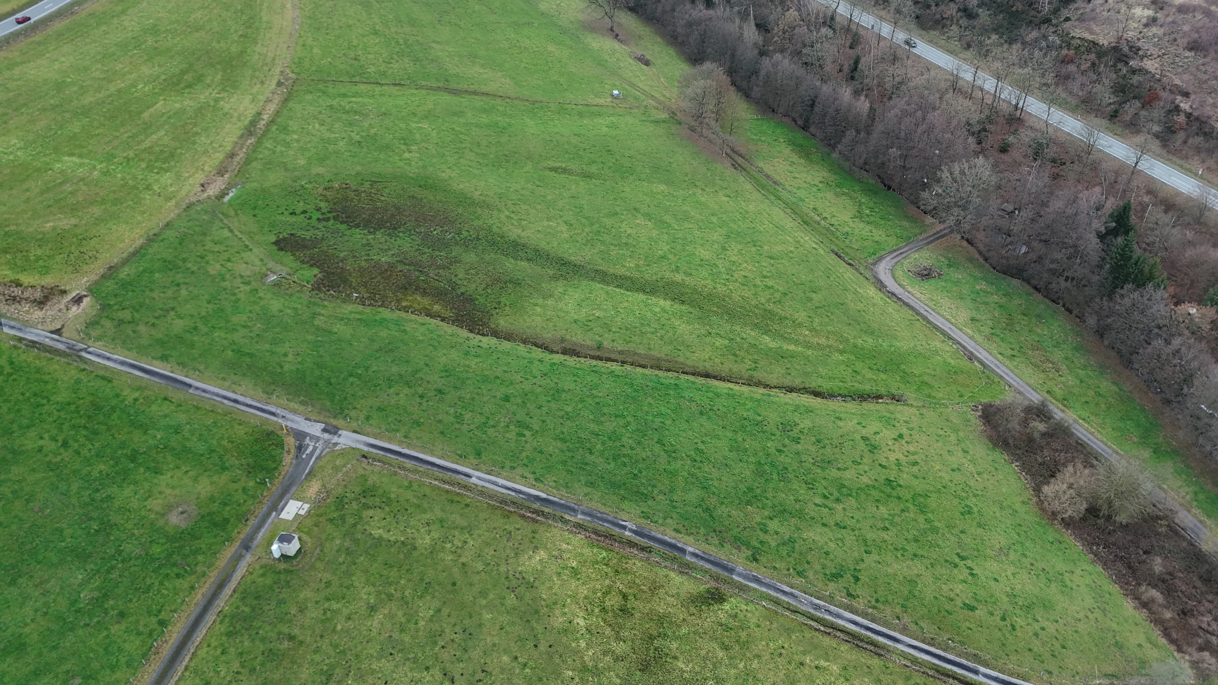 An aerial view of a green meadow in the Piepenbruch nature reserve, with narrow trails and a small water channel cutting through the grass.