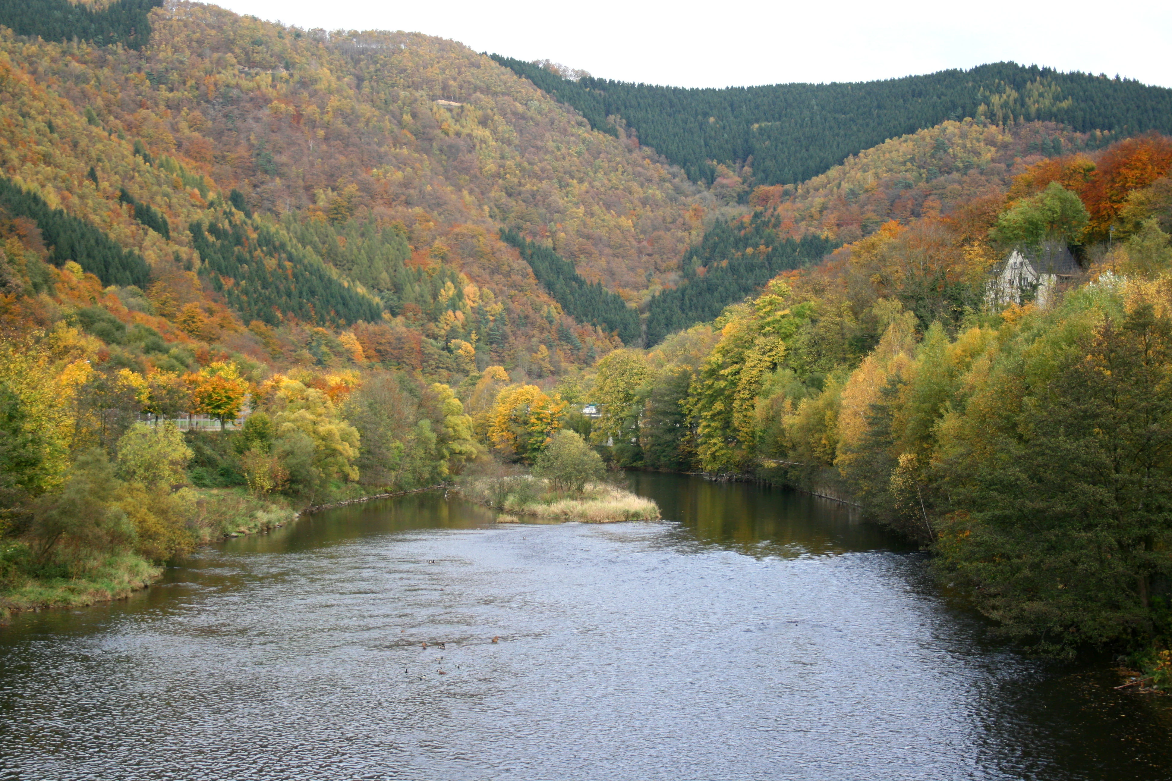 A wide view of a river winding through a valley covered in trees with autumn foliage, under a cloudy sky.