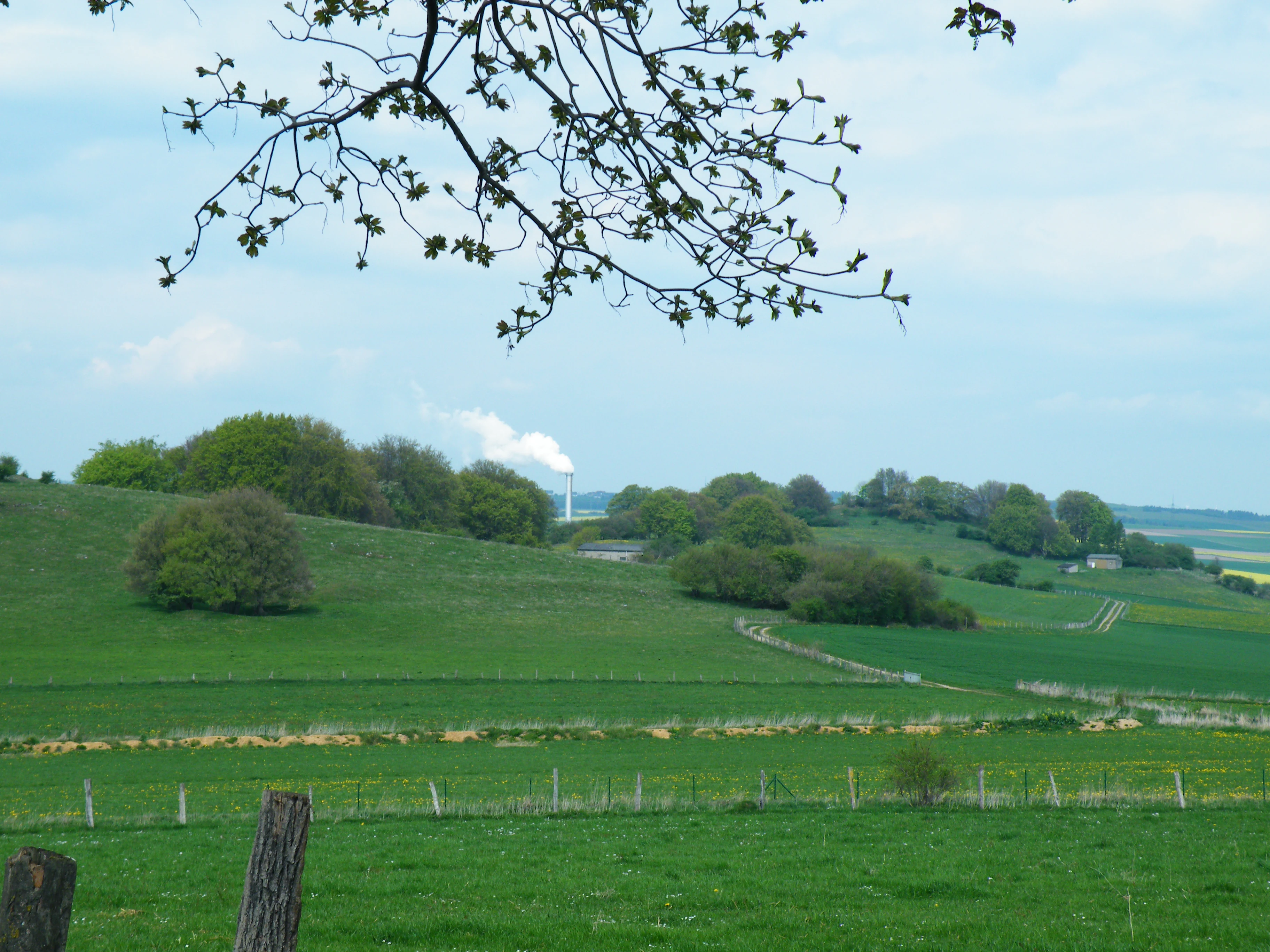 A landscape view of rolling green hills and fields with scattered trees, a wooden fence in the foreground, and a power plant chimney emitting white smoke in the background under a partly cloudy sky, framed by a tree branch at the top.