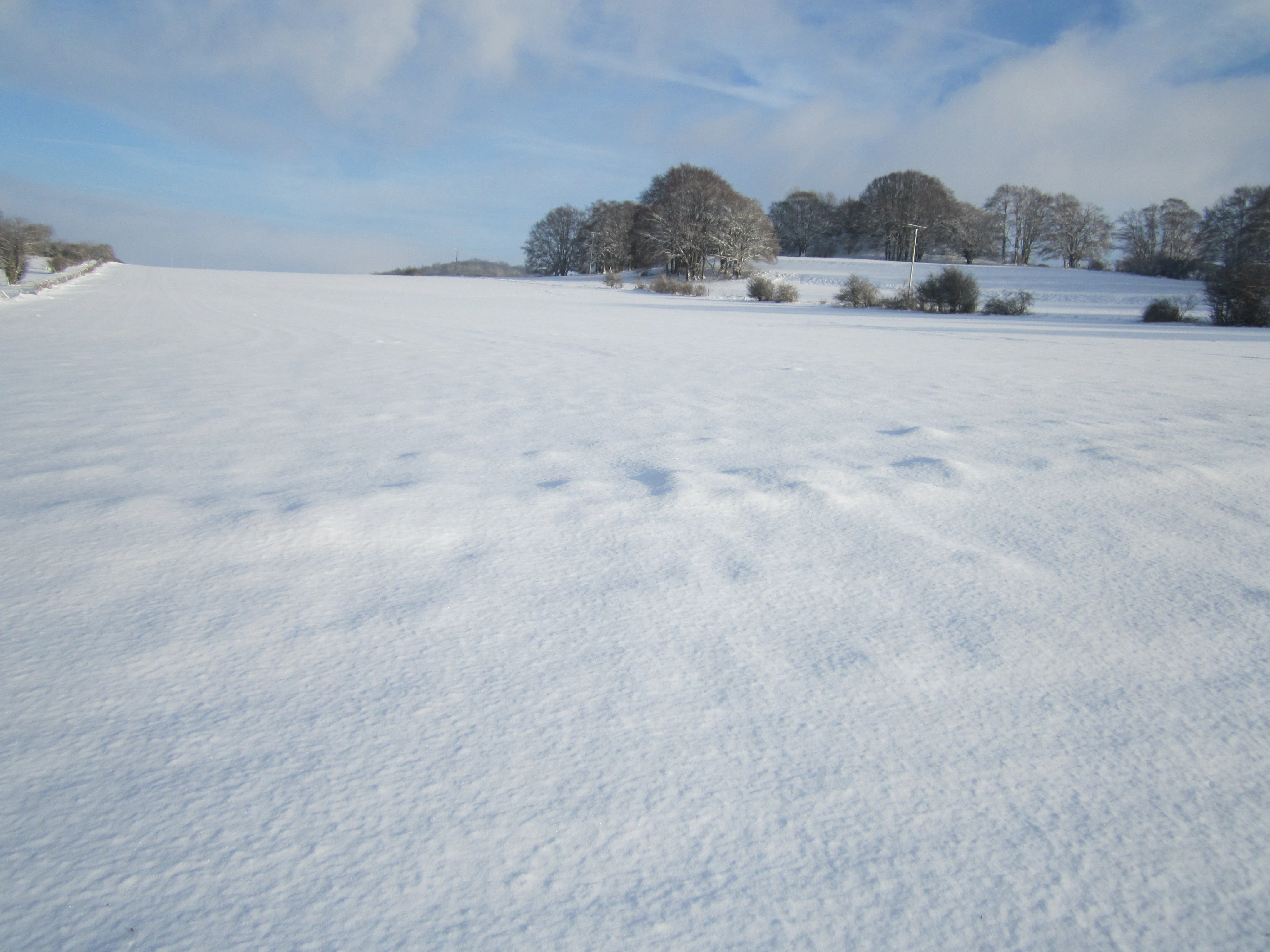 A wide snow-covered field stretches toward a line of bare and snow-dusted trees under a partly cloudy blue sky.