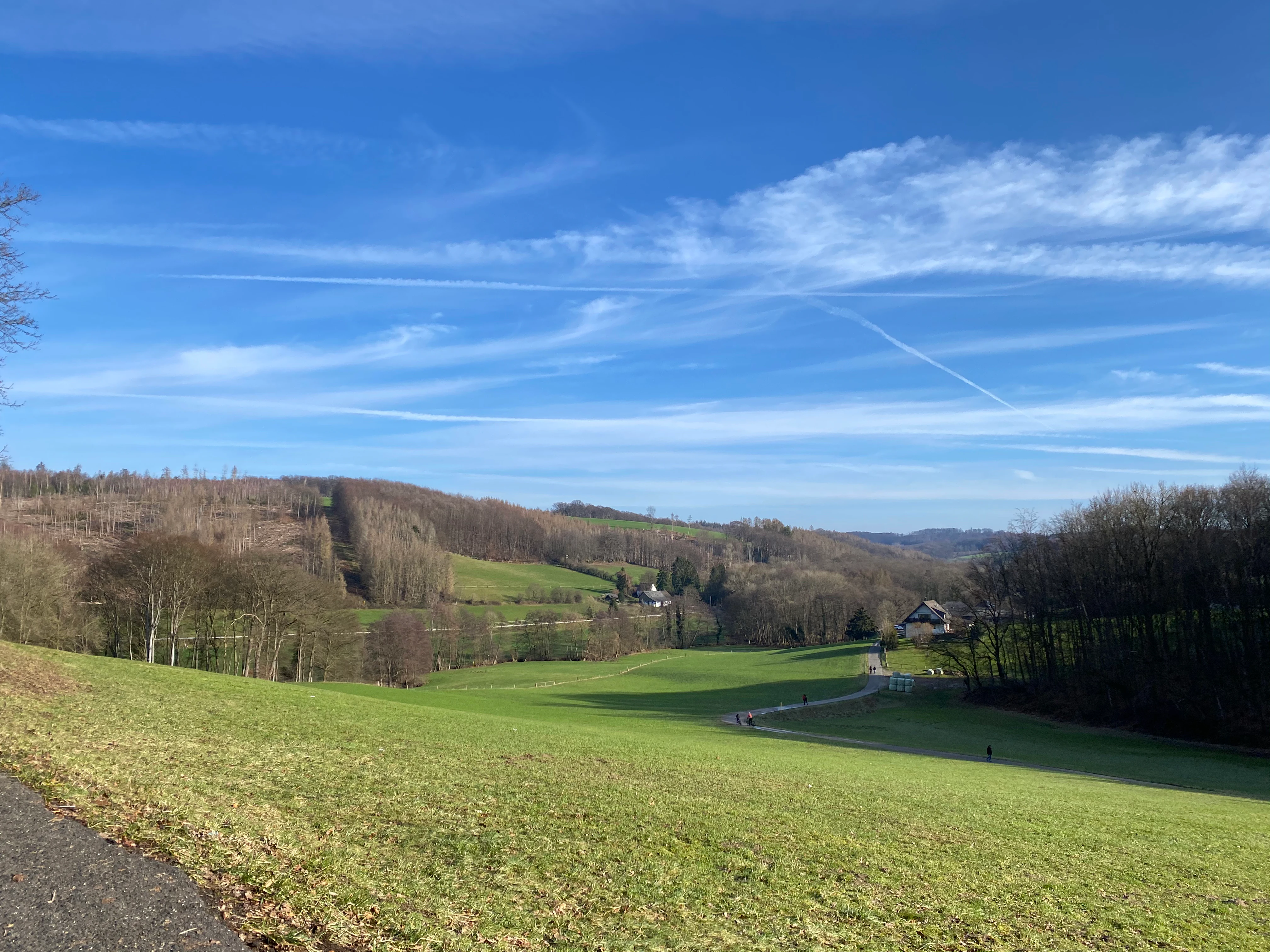 Wide angle view of a lush green meadow leading into a valley with forested hills under a blue sky with thin clouds.