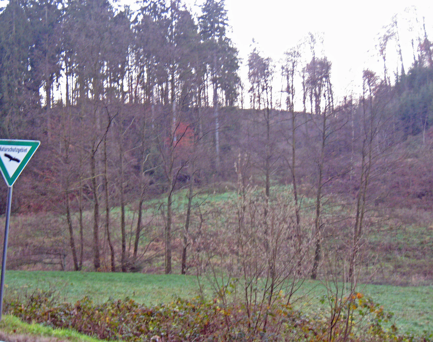 A triangular green and white nature reserve sign on a metal pole stands in the foreground, with a grassy field and a wooded hillside in the background.