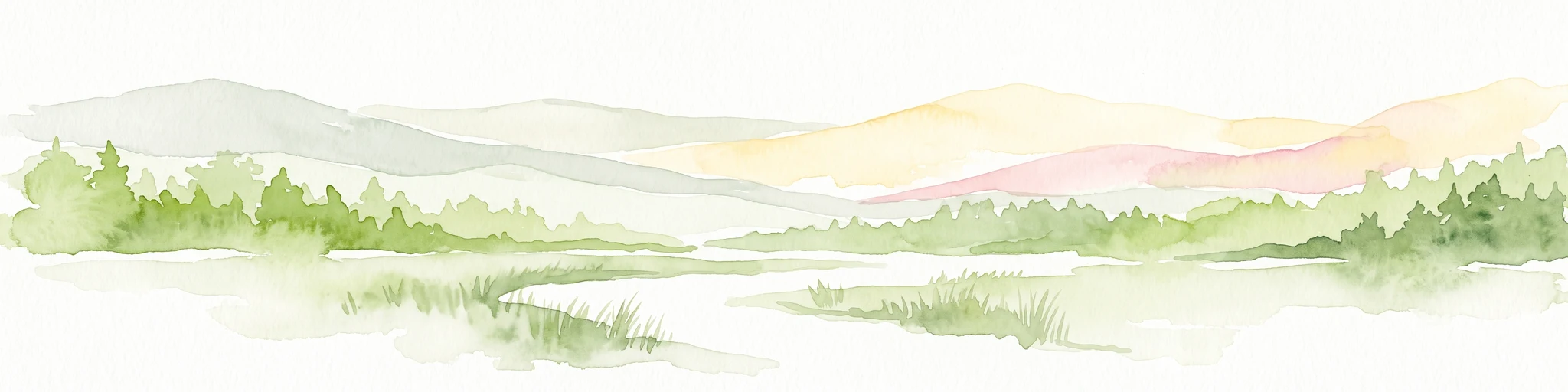 A soft watercolor illustration of a landscape with green forest tree lines in the foreground, wetland grasses, and pale rolling hills in the background against a white sky.