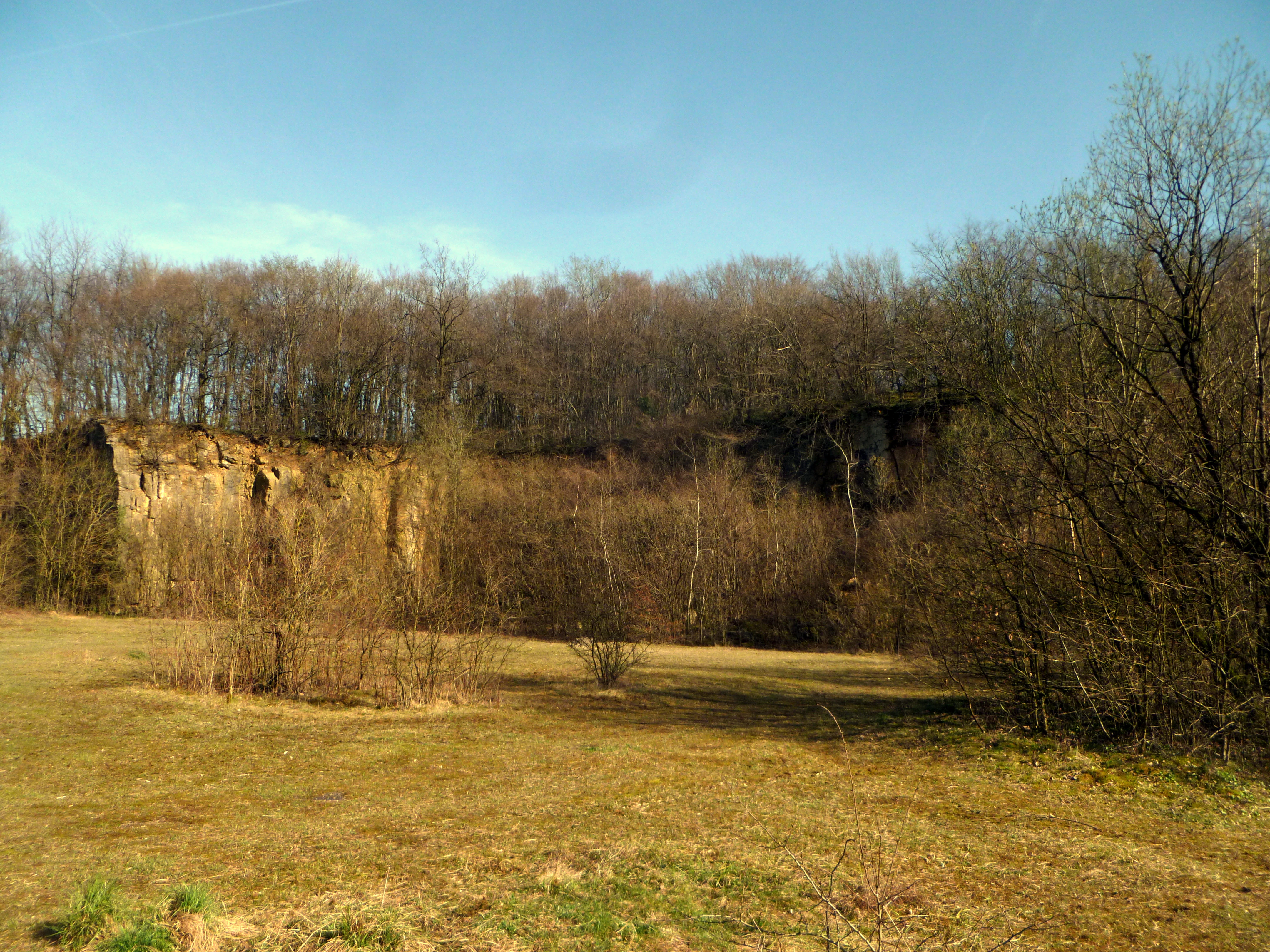A meadow in the foreground leads to a rocky quarry face topped by a dense forest in the background.