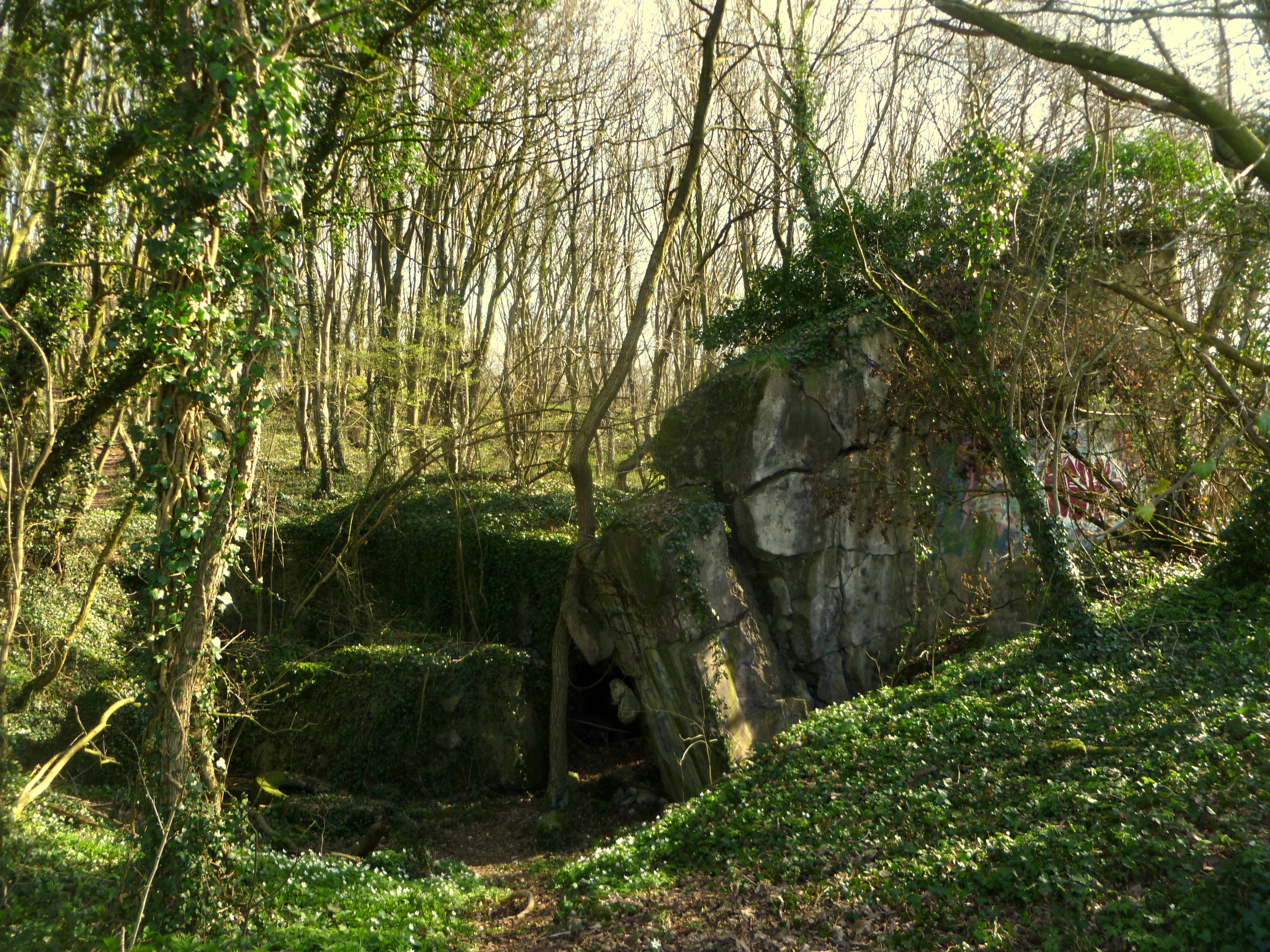 A heavily weathered, concrete military bunker partially covered by moss and forest vegetation, situated within a sparse woodland.