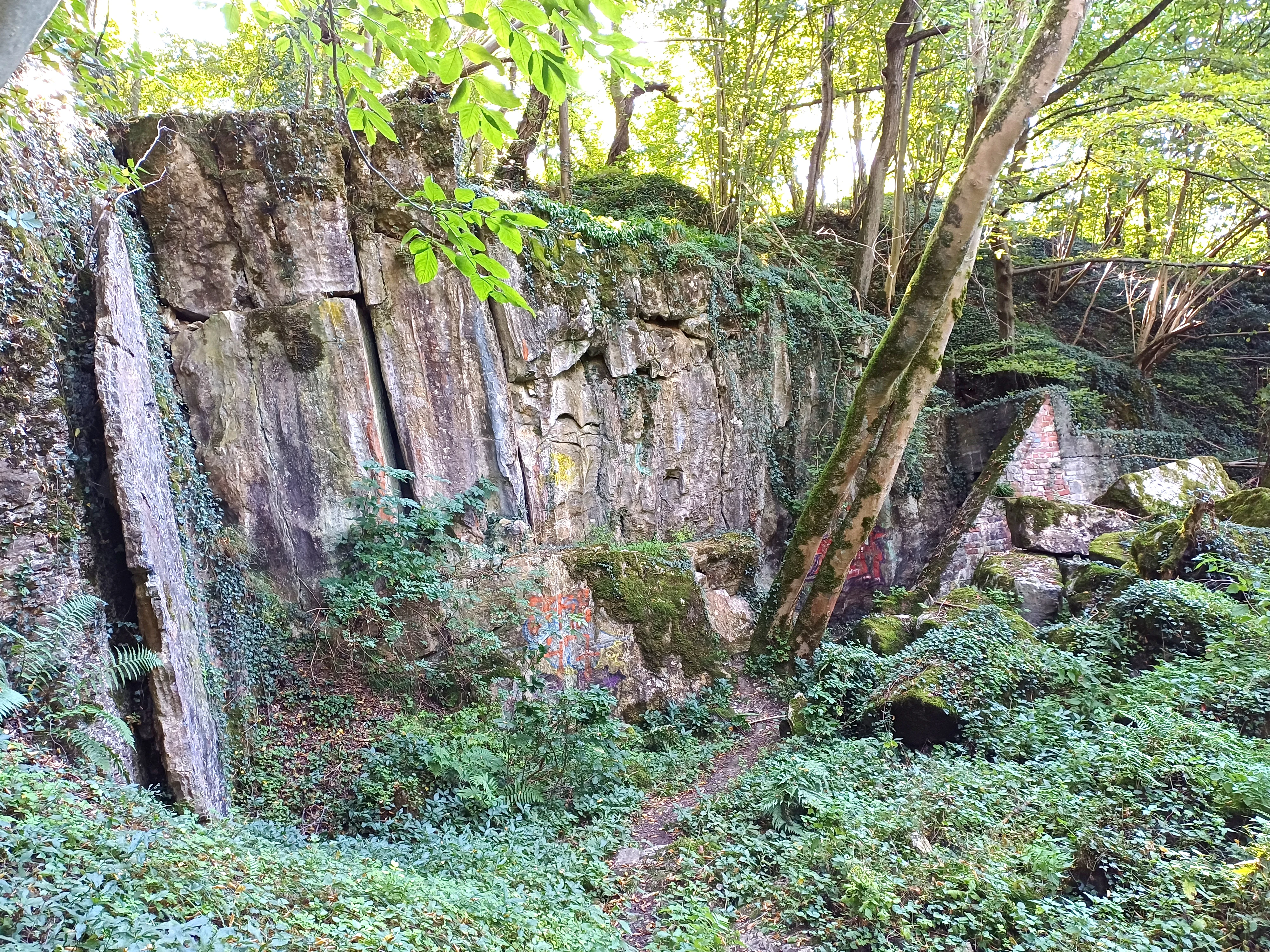 A view of steep quarry rock faces covered in moss and vegetation, surrounded by trees and green undergrowth, with a small dirt path visible at the base