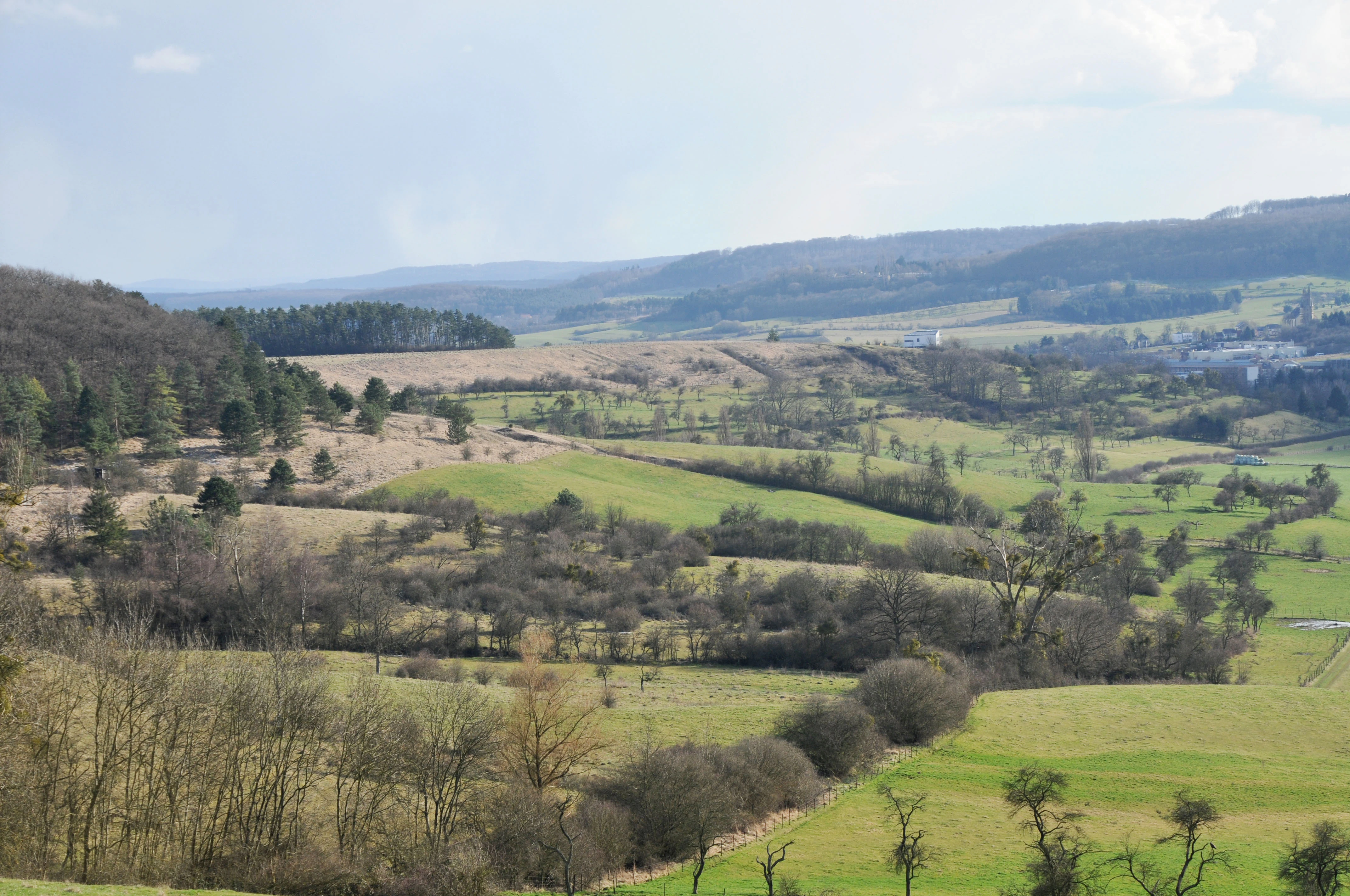 A wide, elevated landscape view featuring rolling green hills, patches of forest, and hedgerows under a bright sky.