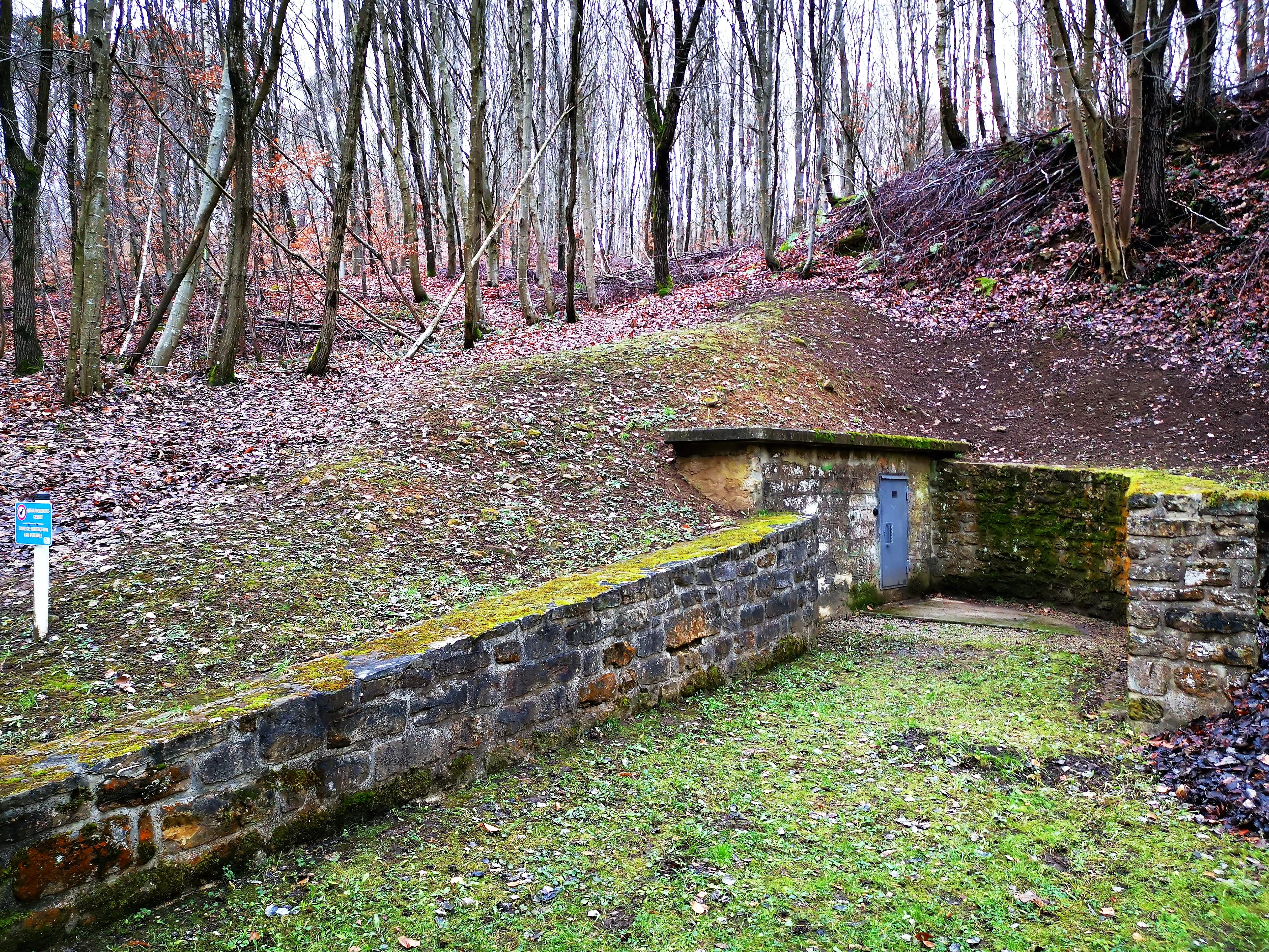 Birelergronn Nature Reserve in Sandweiler