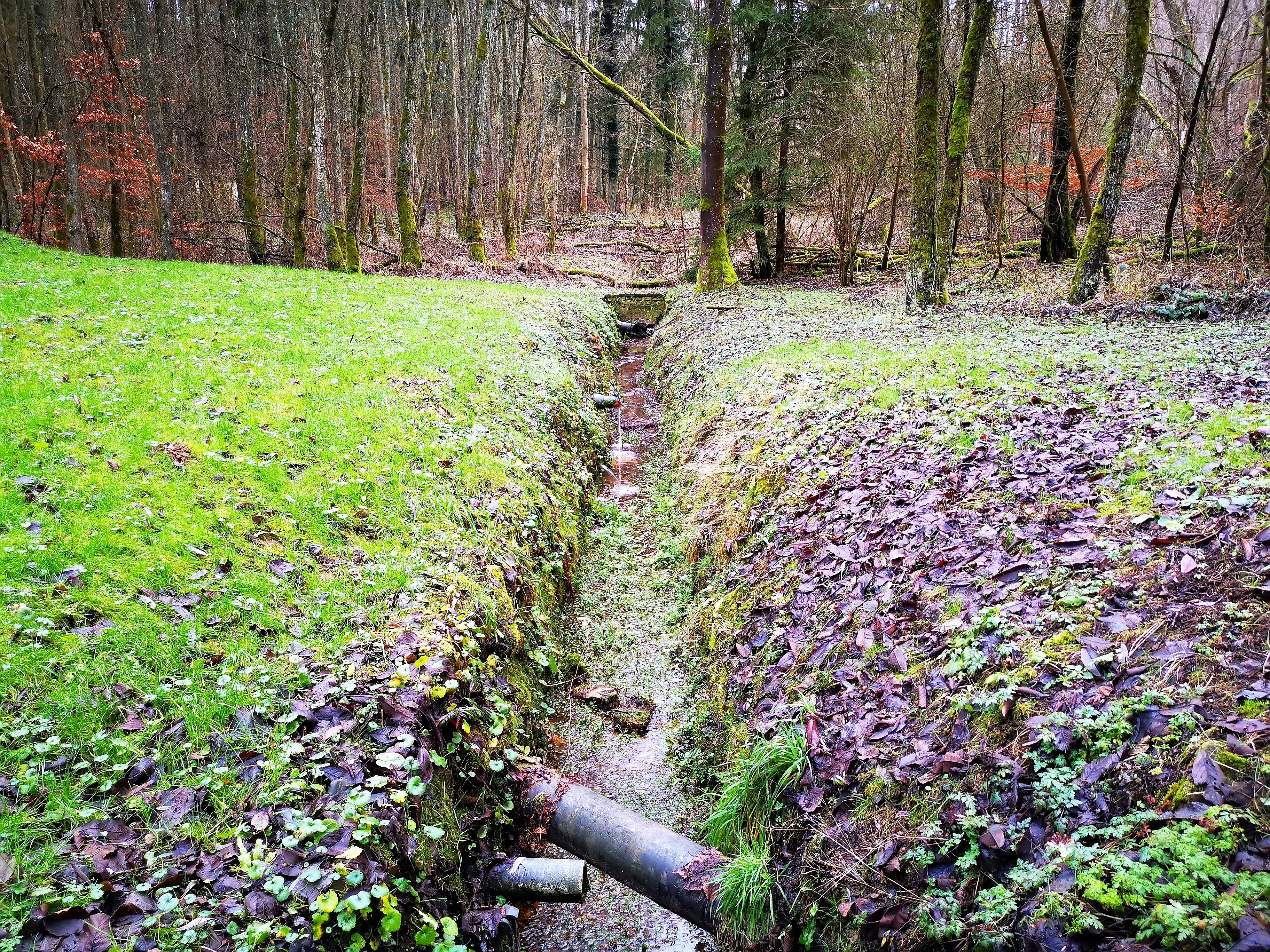 Birelergronn Nature Reserve in Sandweiler