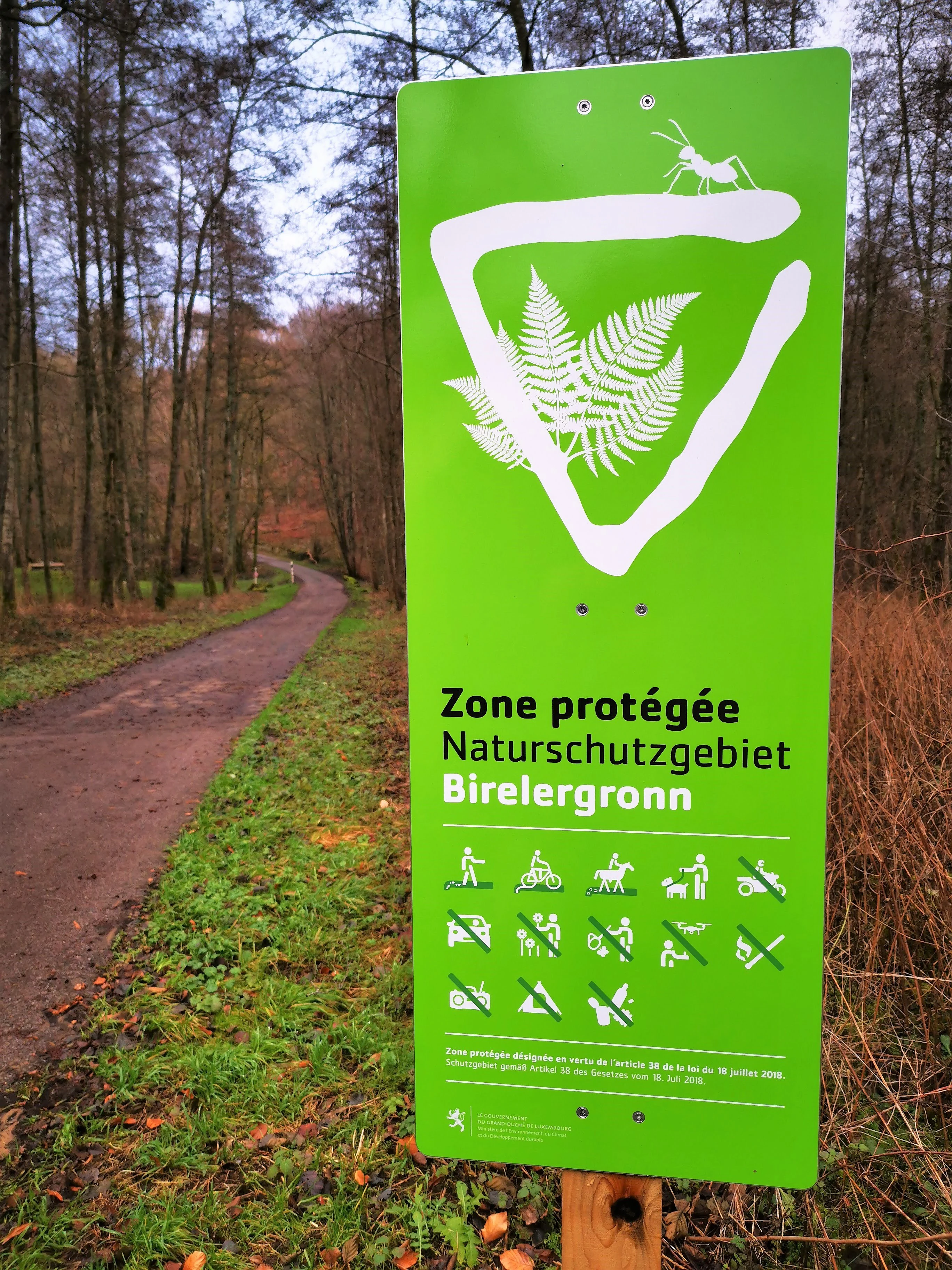 Birelergronn Nature Reserve in Sandweiler