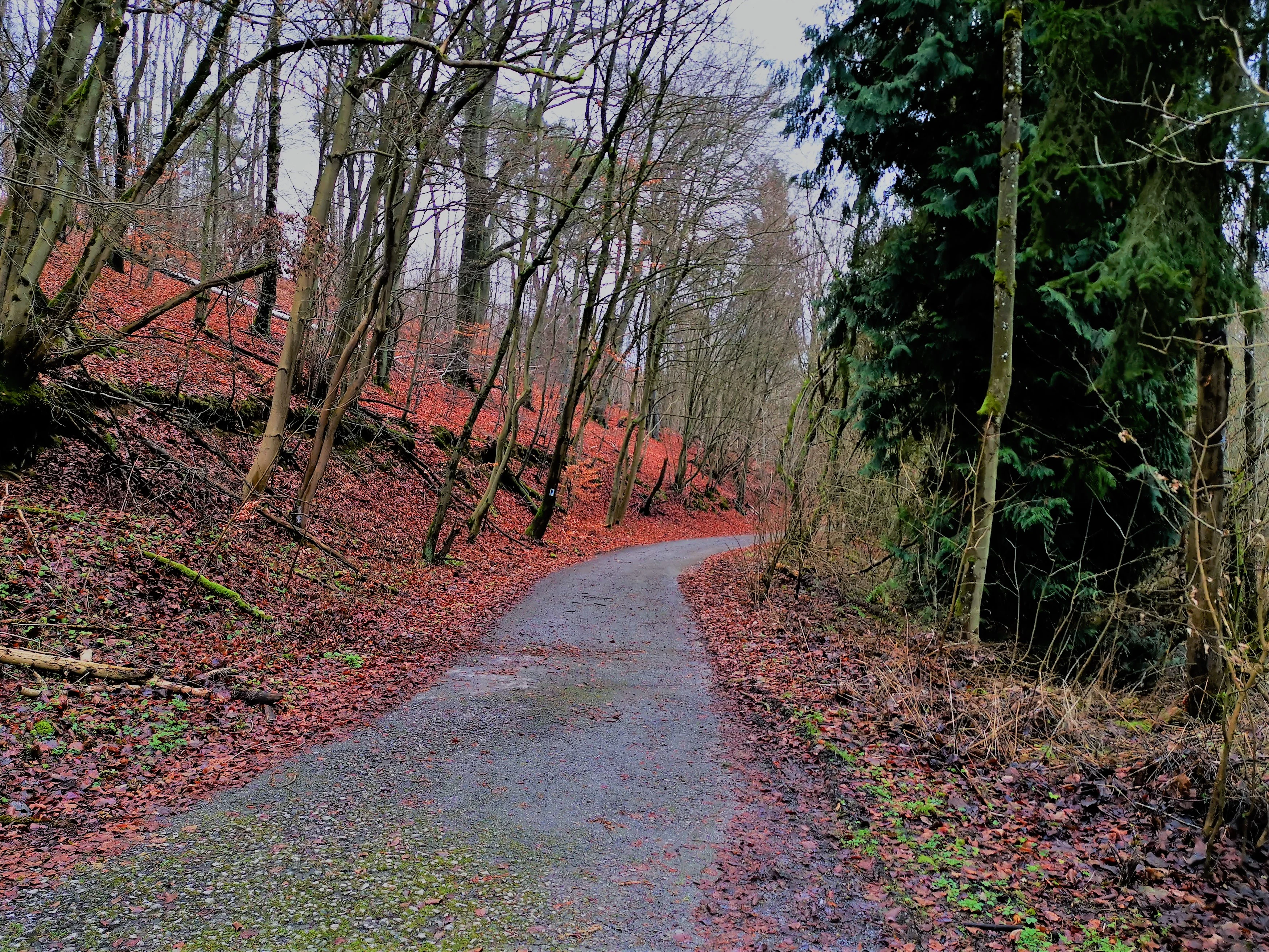Birelergronn Nature Reserve in Sandweiler