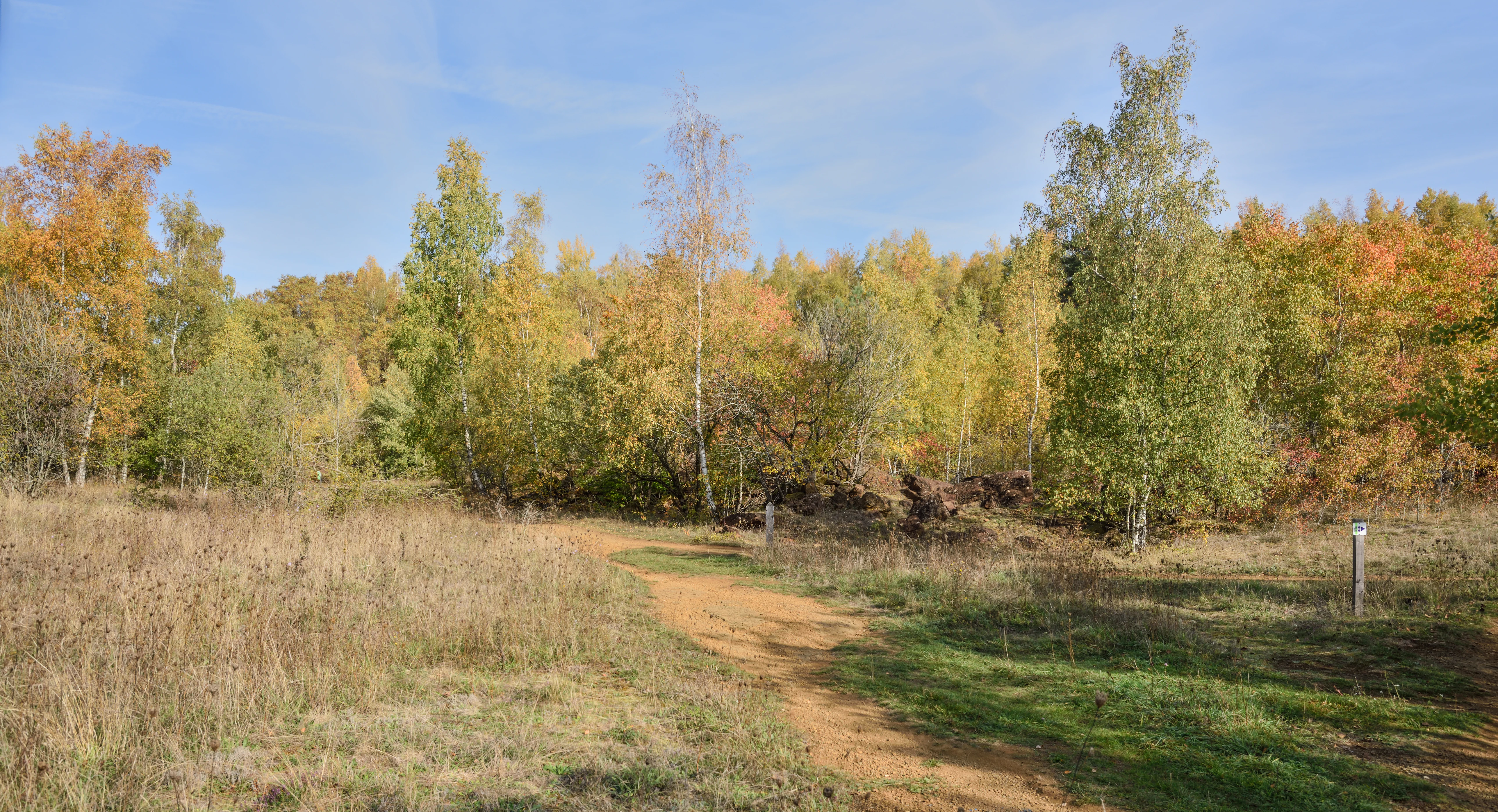 A dirt hiking trail winding through a deciduous forest with yellowing autumn leaves and dry grass under a blue sky.