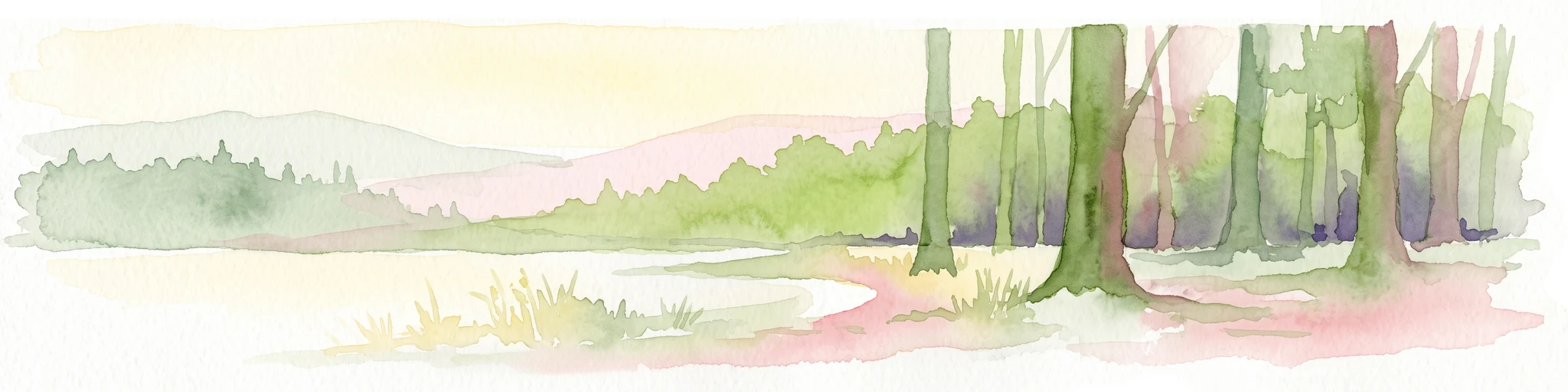 Watercolor painting of a forest landscape with a grassy clearing and distant hills, rendered in soft green and pink tones.