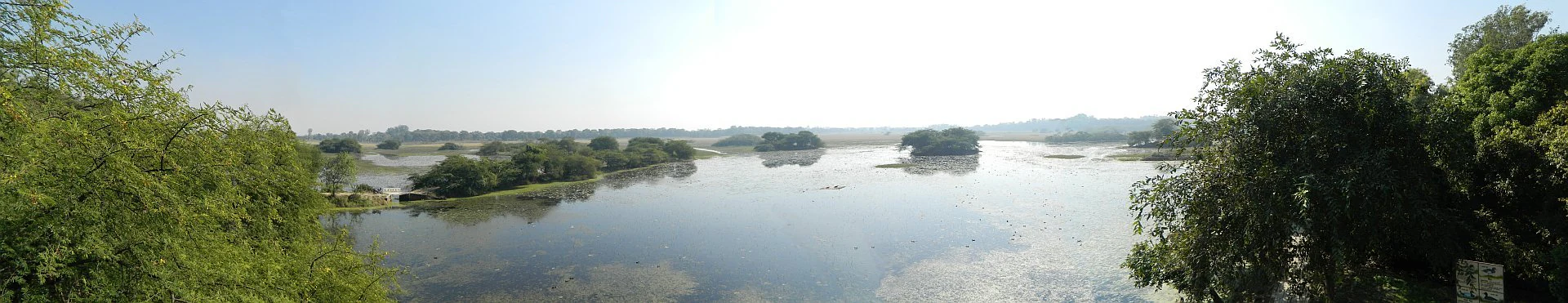 A wide panoramic view of a large, calm lake surrounded by trees and vegetation, with several small islands of shrubs dotting the water.