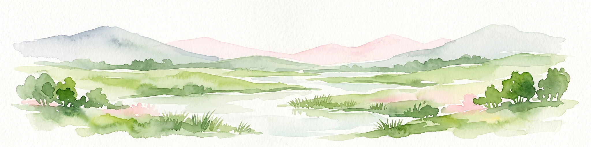 Watercolor illustration of a lush wetland scene with low hills in the background and a winding stream through green fields.