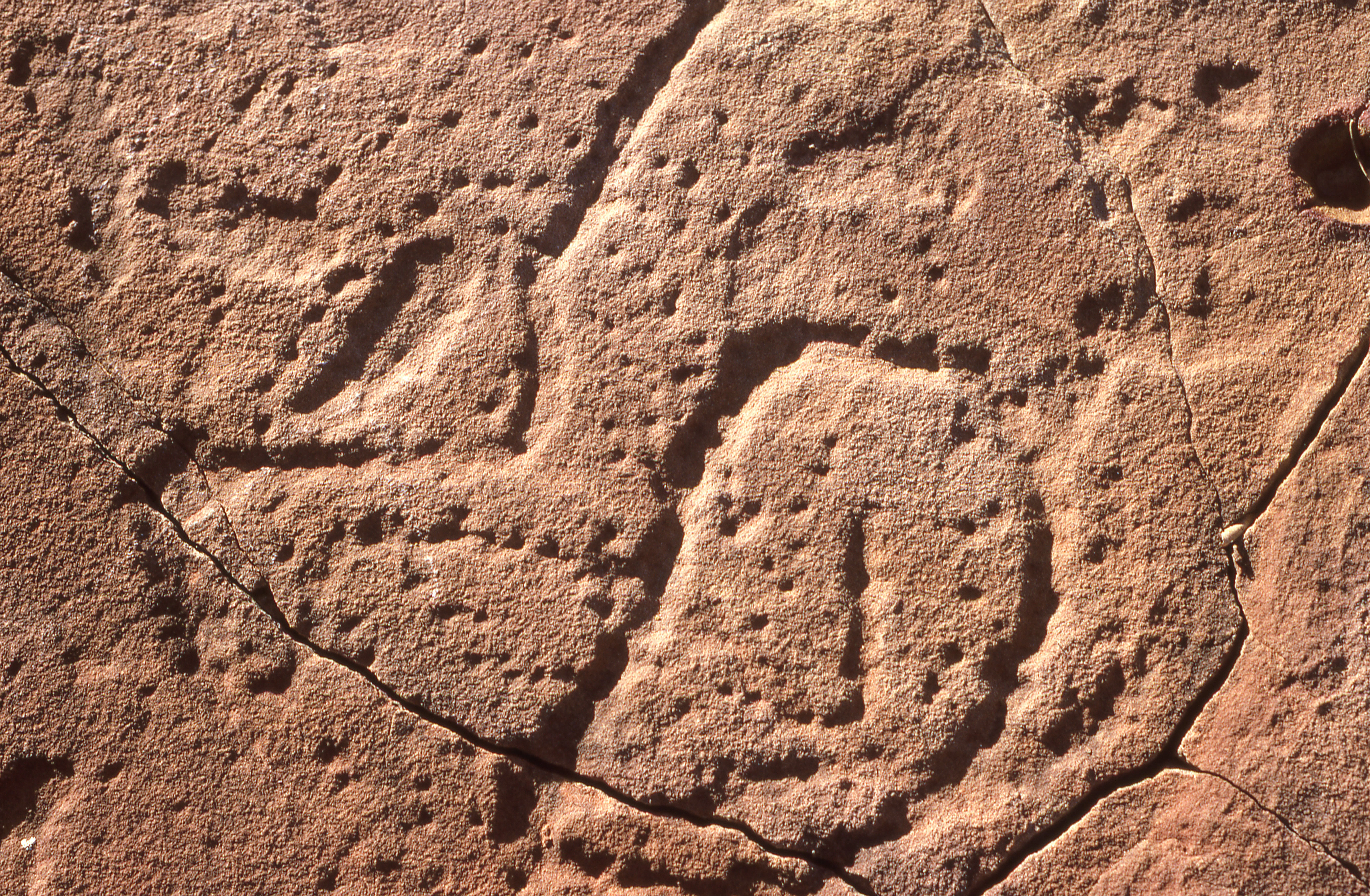 Close up view of ancient Aboriginal rock carvings on a reddish brown rock surface, featuring dotted outlines of figures.