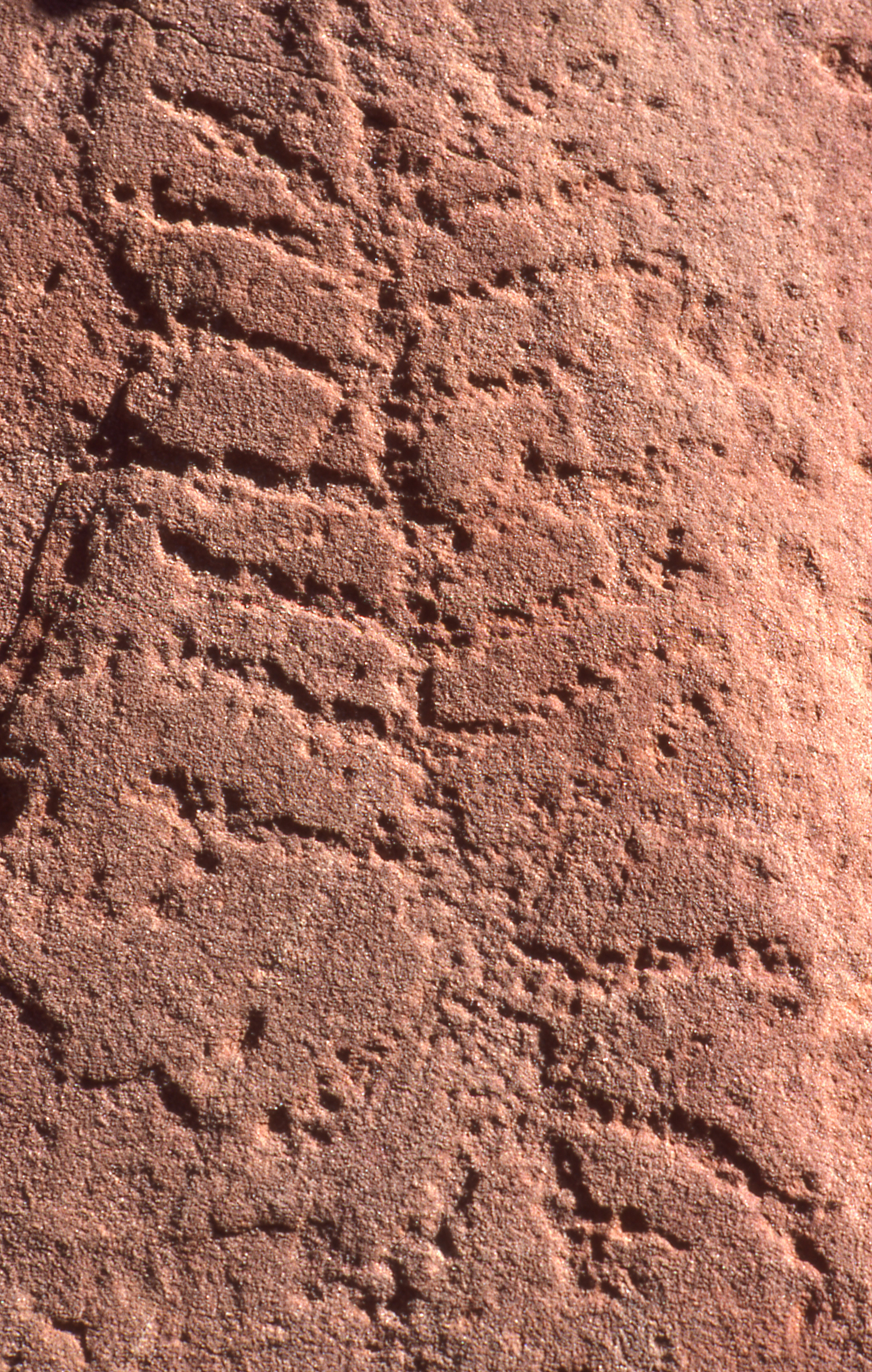 Close-up view of ancient Aboriginal rock carvings etched into a textured, reddish-brown sandstone surface.
