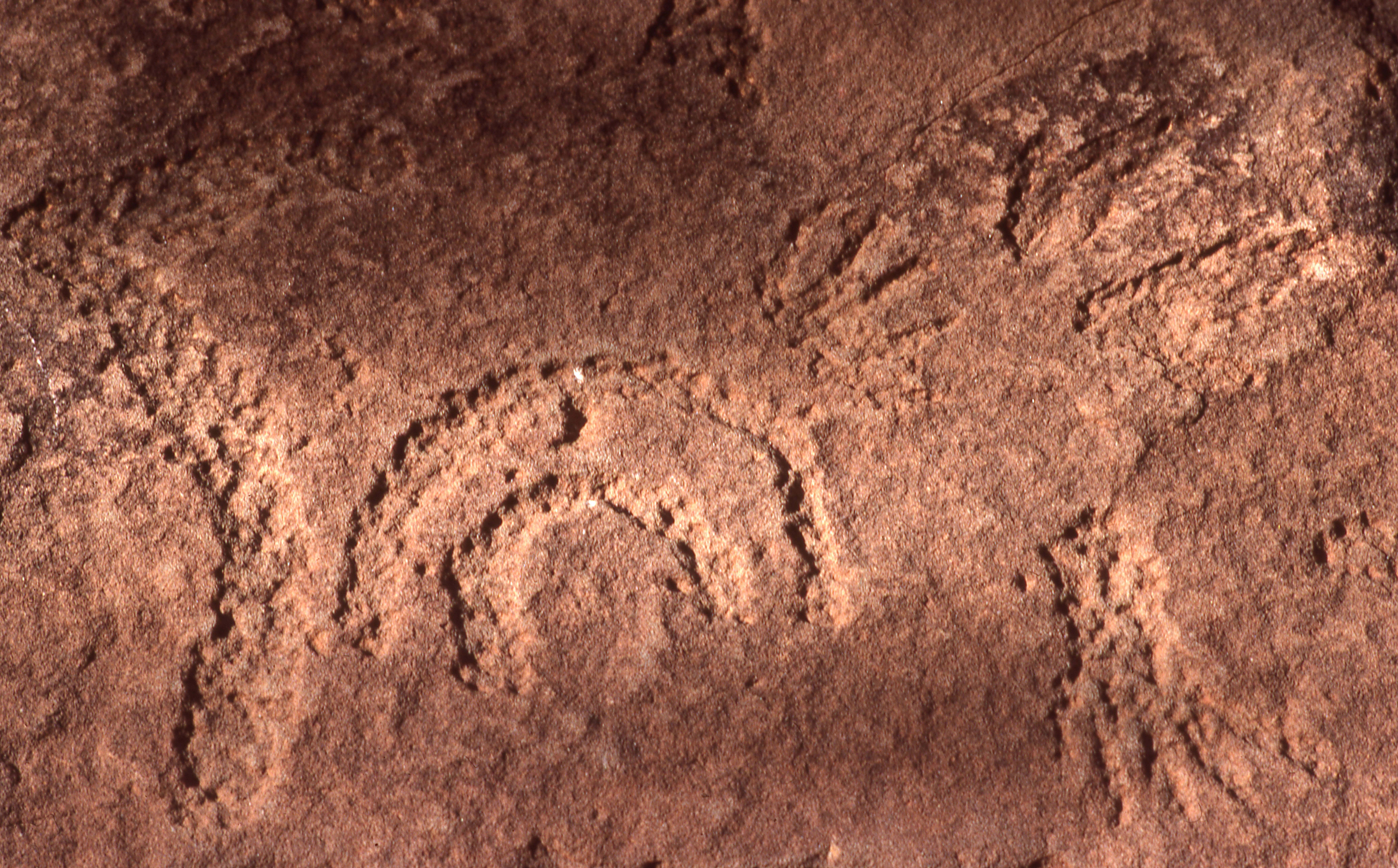 Close-up view of Aboriginal rock carvings showing circular and arc-shaped patterns etched into a reddish-brown rock surface
