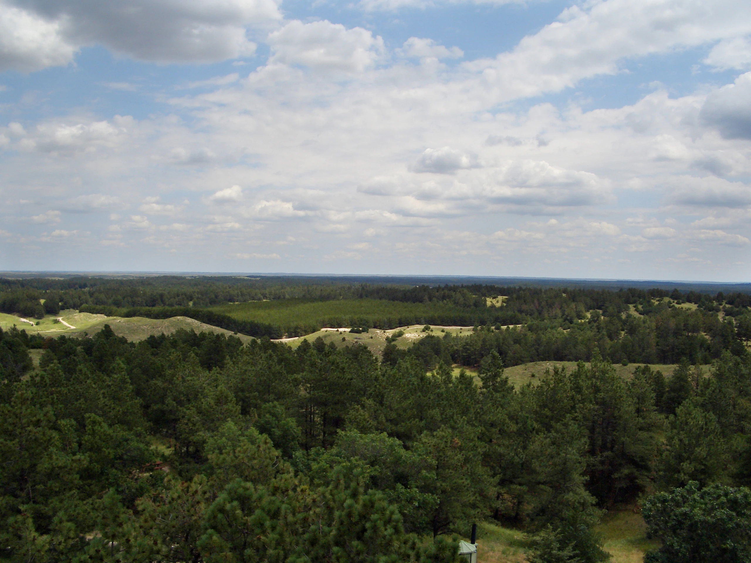 A wide, elevated landscape view overlooking a vast expanse of pine forest interspersed with rolling grassy hills under a partially cloudy blue sky.