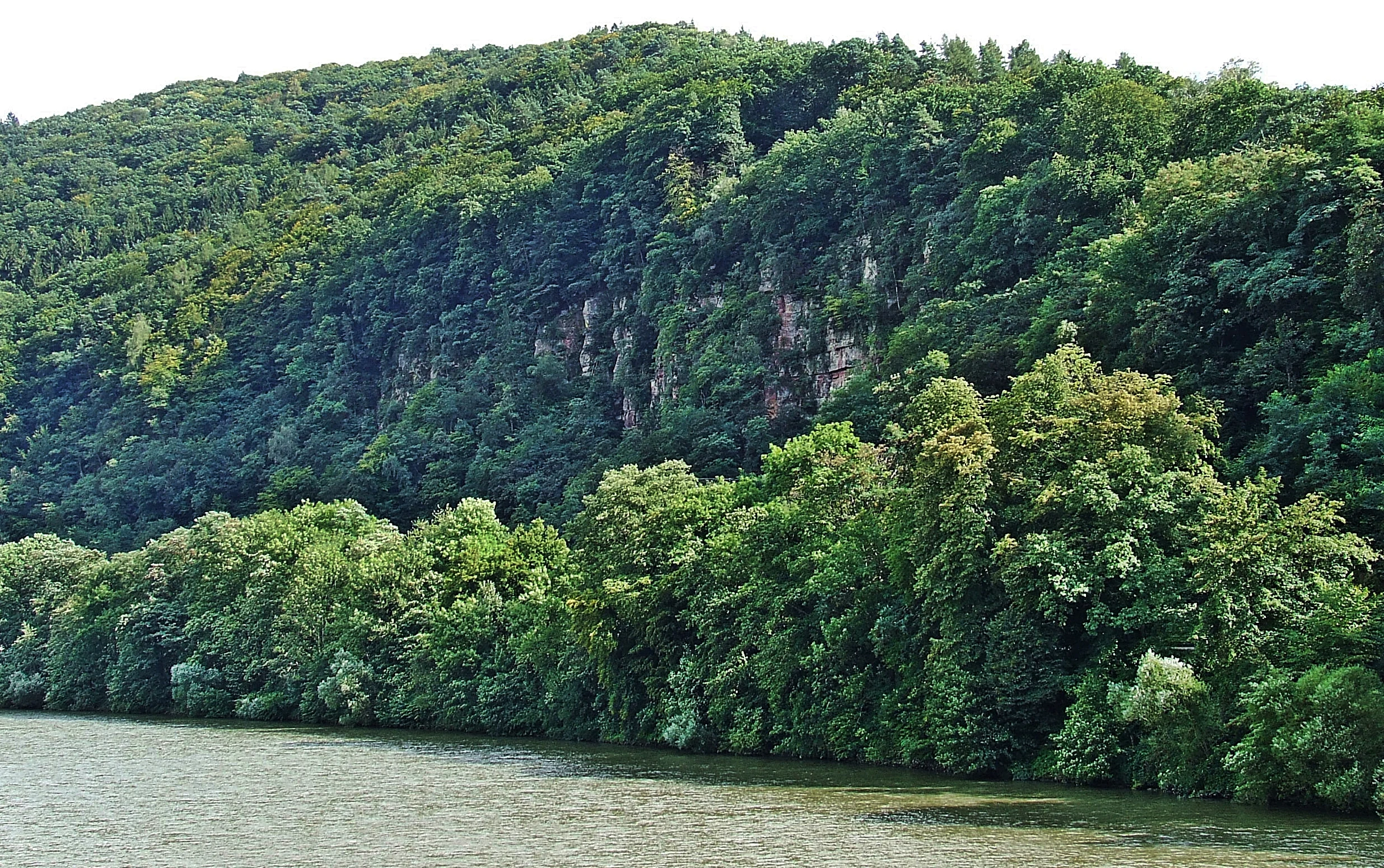A wide view of a river flowing beneath a steep, forested hillside with visible rock outcrops.