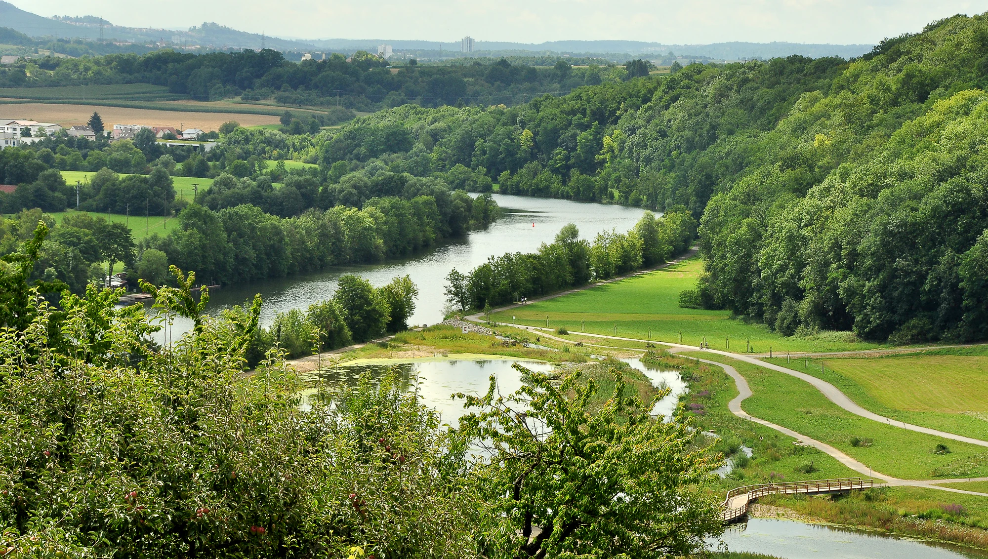 A wide landscape view of the Neckar river winding through a green valley, featuring renatured riverbanks with smaller water bodies, walking paths, and dense forests on the surrounding hills under a clear sky.