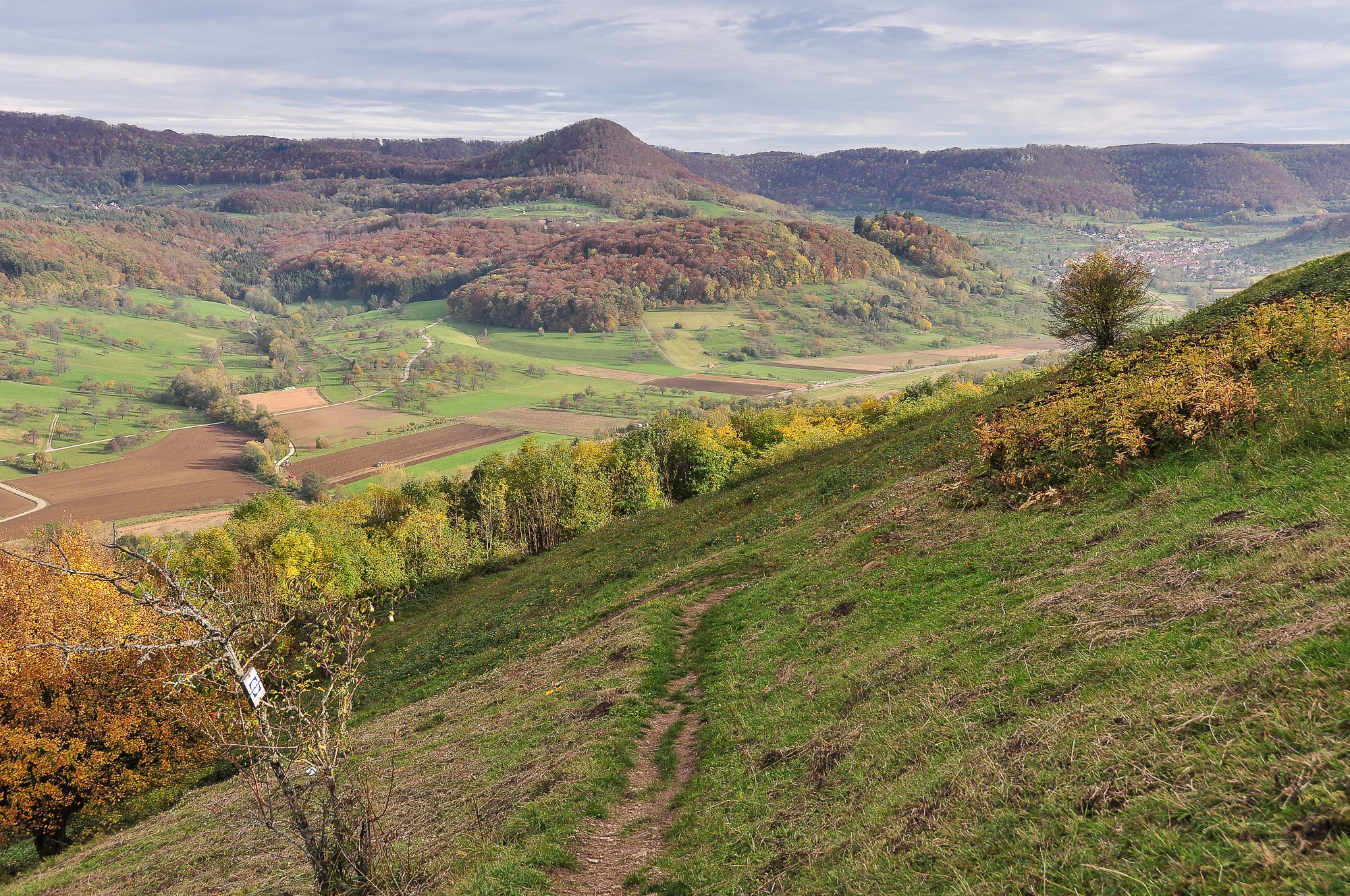 A wide angle landscape view from a grassy hillside overlooking a valley with fields, forests, and rolling hills under an overcast sky.