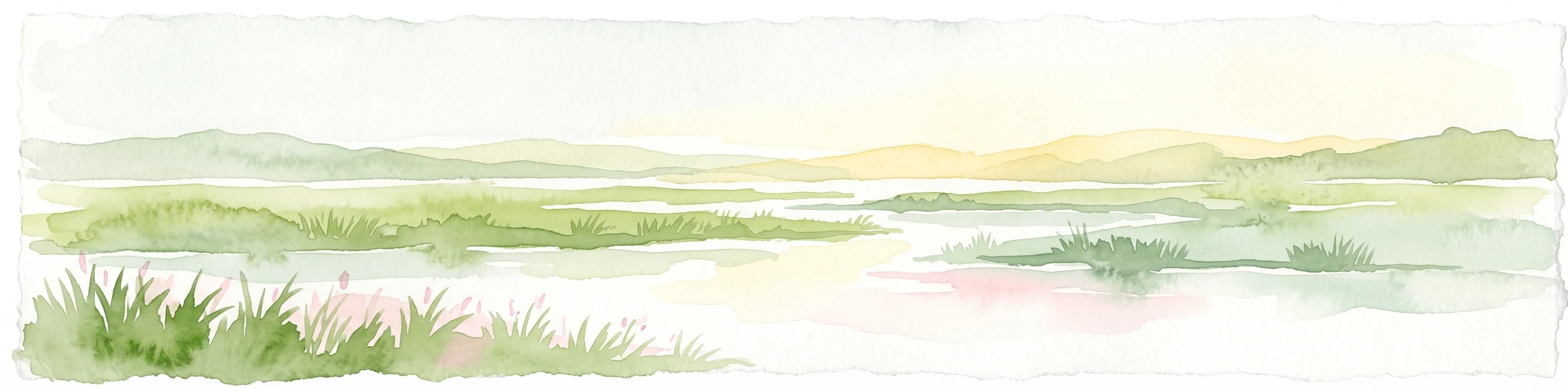 A watercolor illustration of a soft, hazy landscape featuring grassy wetlands in the foreground, water channels, and rolling hills in the background.