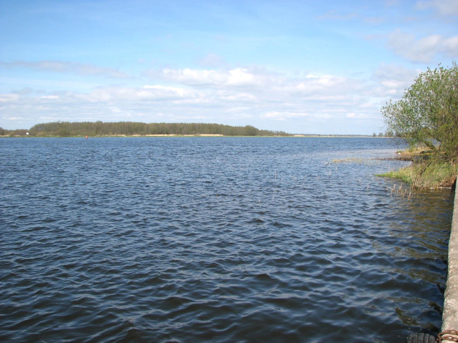 A wide, calm river scene with a tree-lined bank in the distance and a concrete edge in the foreground.