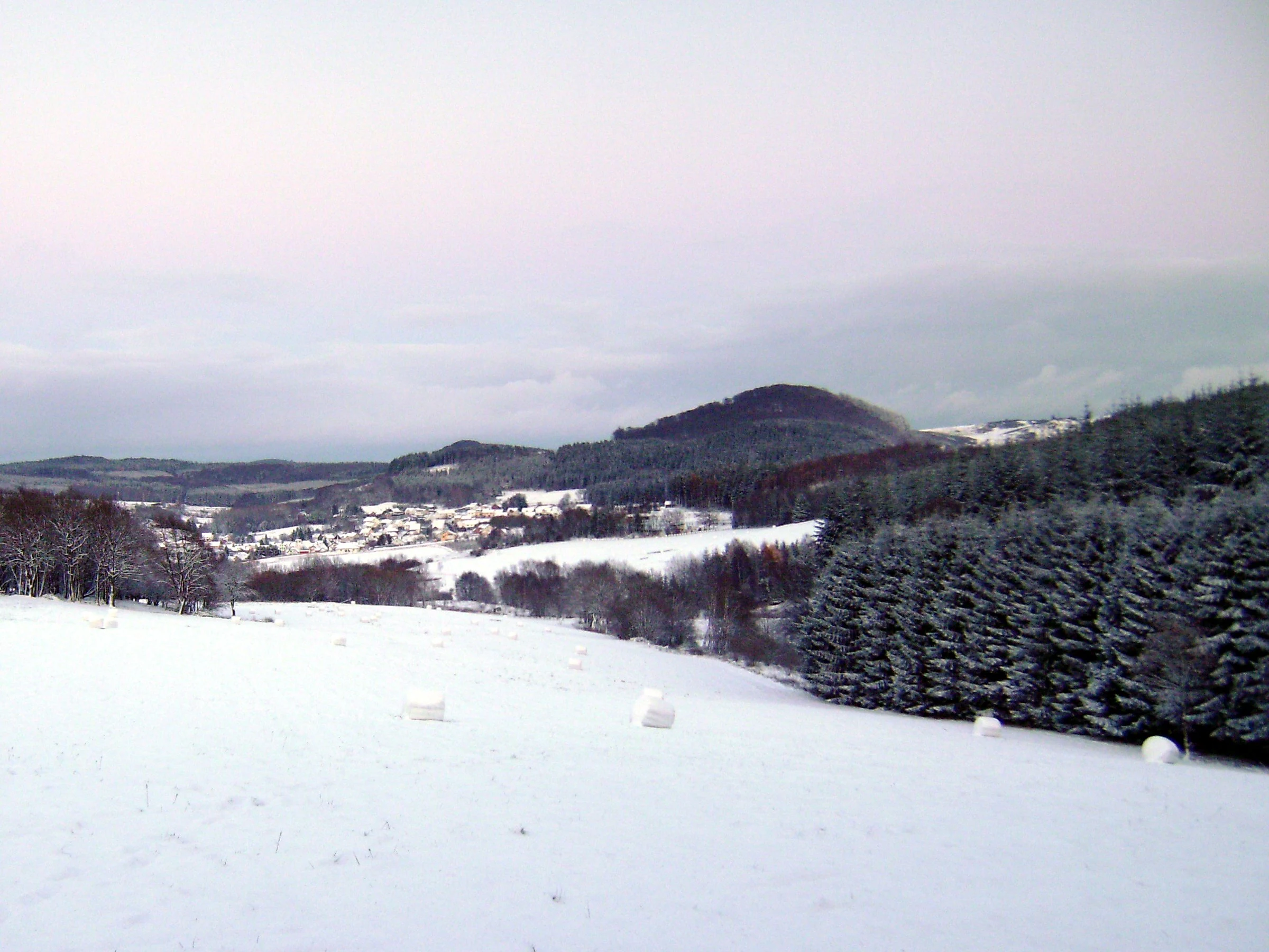 A wide, eye-level landscape photograph of a snow-covered hill and forest in the Eifel region of Germany during winter.