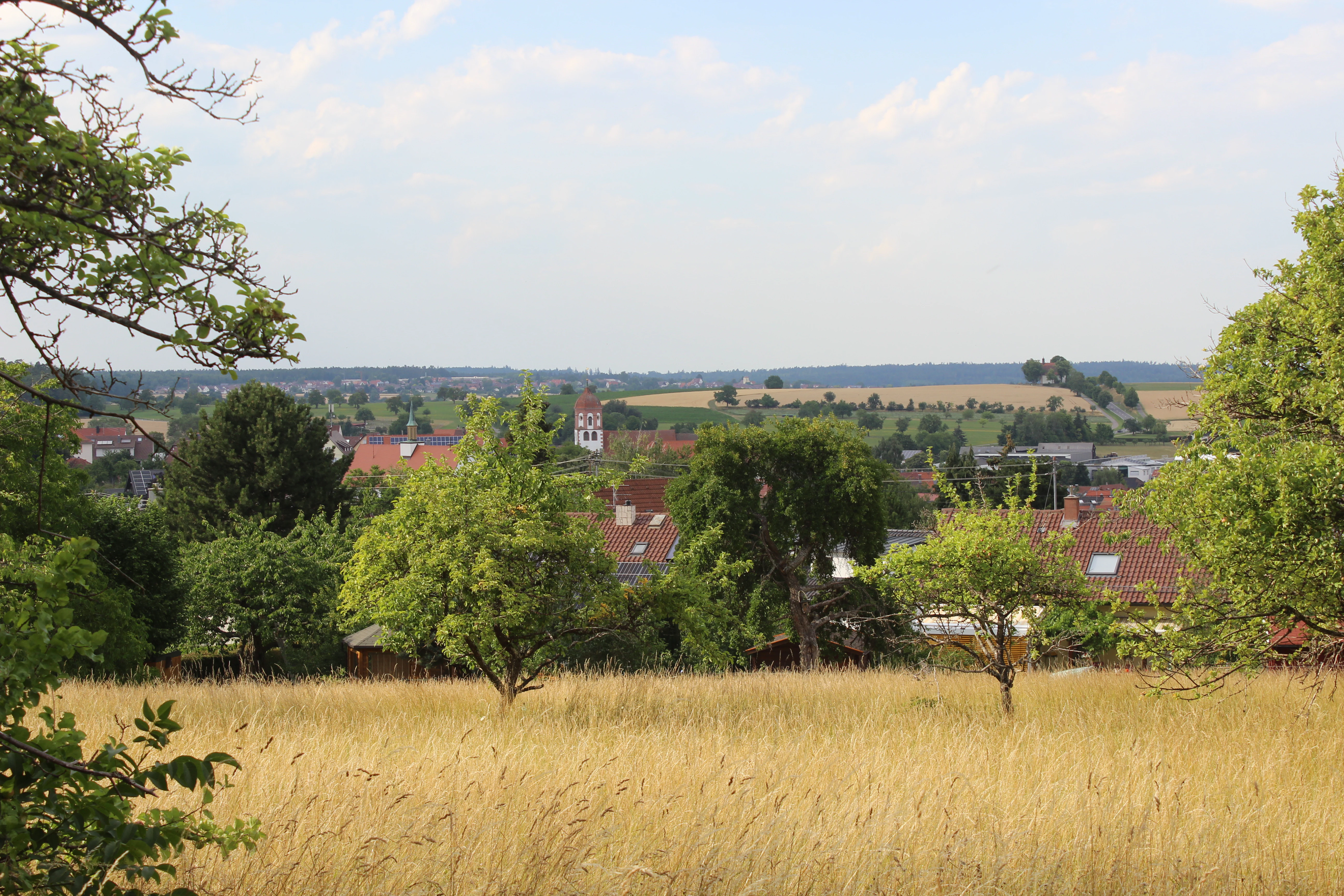 View of Neuhausen from Galgenberg