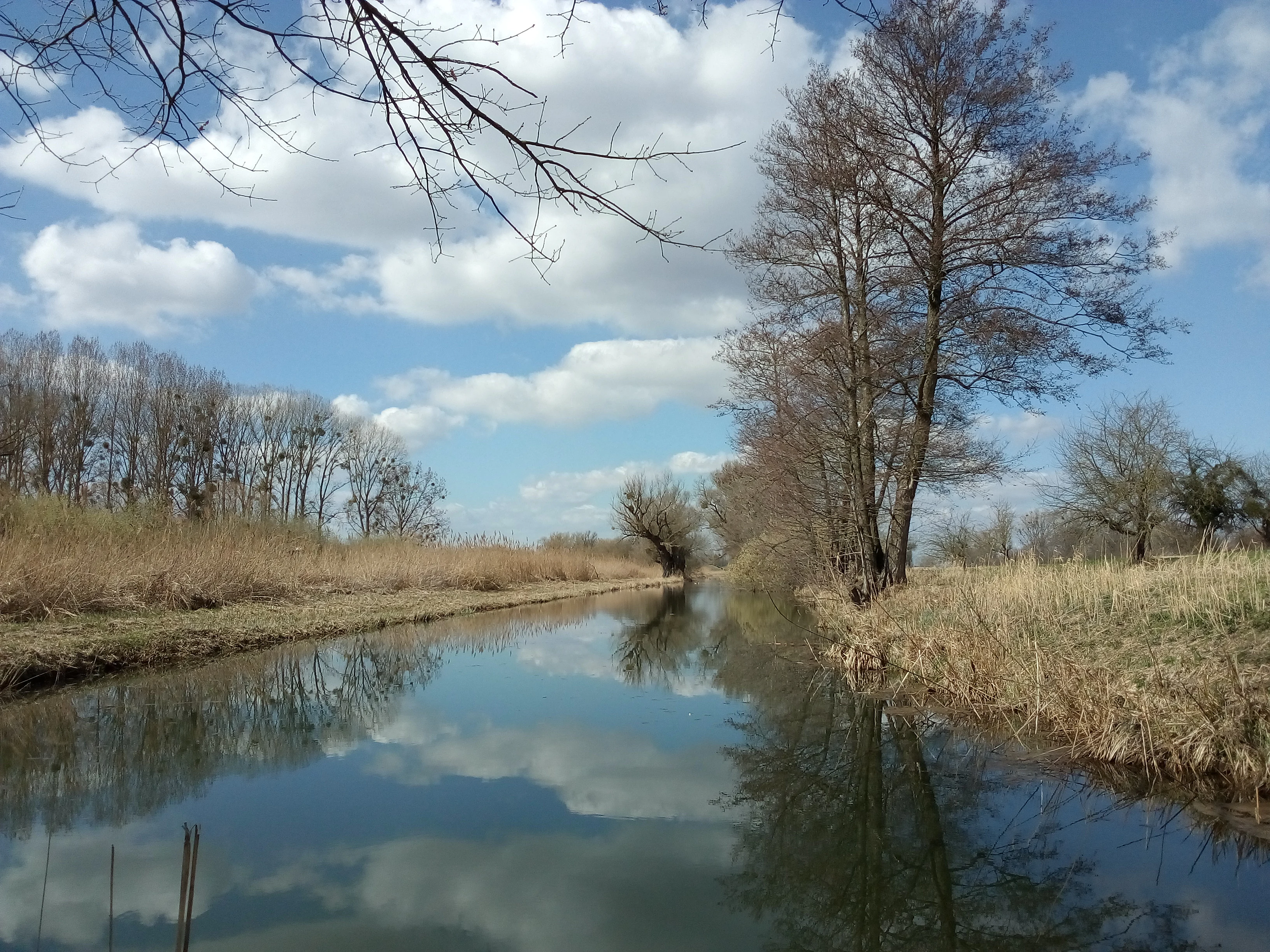 A calm, narrow waterway reflects the blue, cloudy sky, flanked by dry grasses and deciduous trees on a bright day.