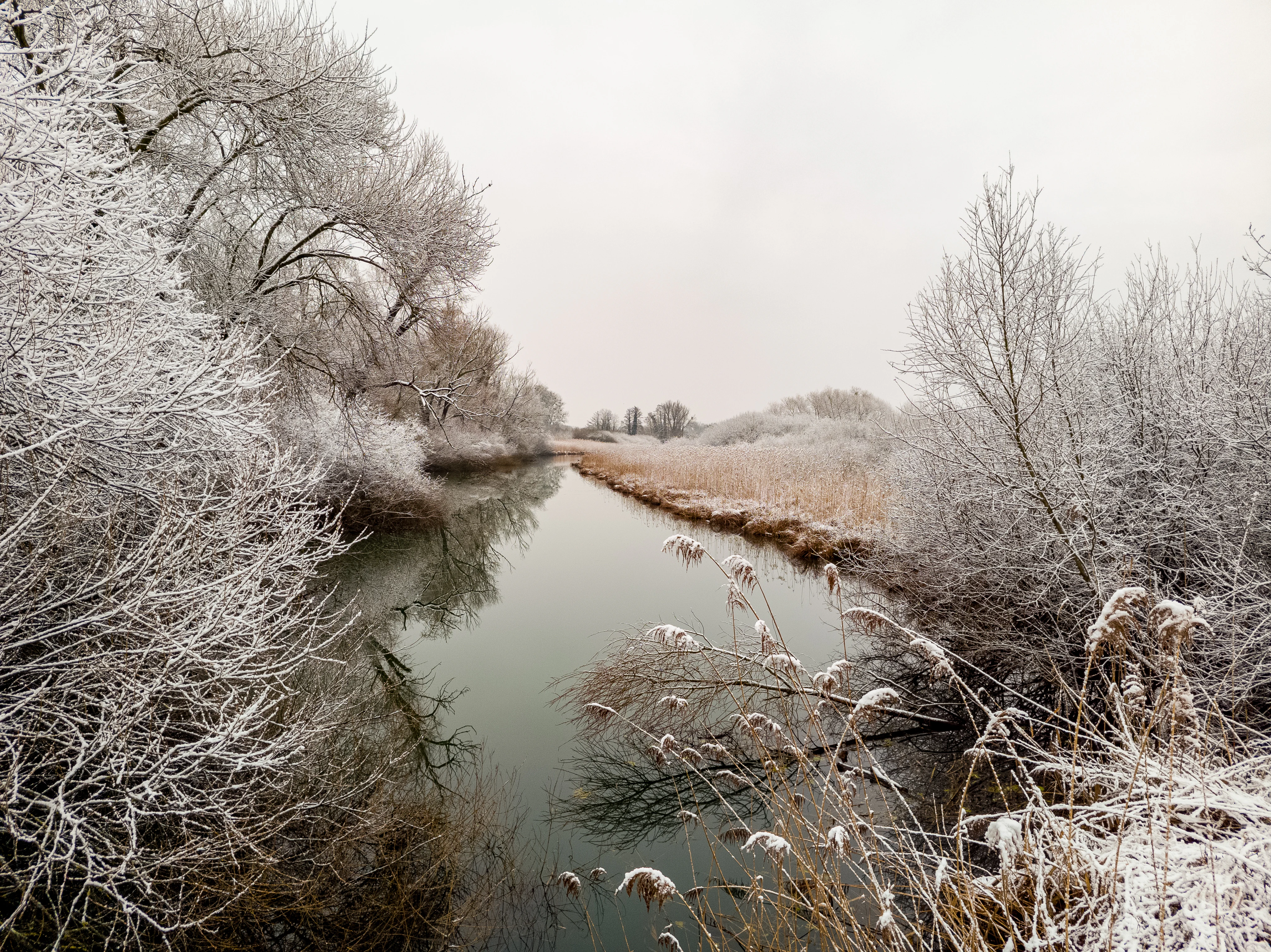 A calm, narrow river winds through a snowy, frost covered landscape with leafless trees and reeds along the banks under an overcast winter sky.