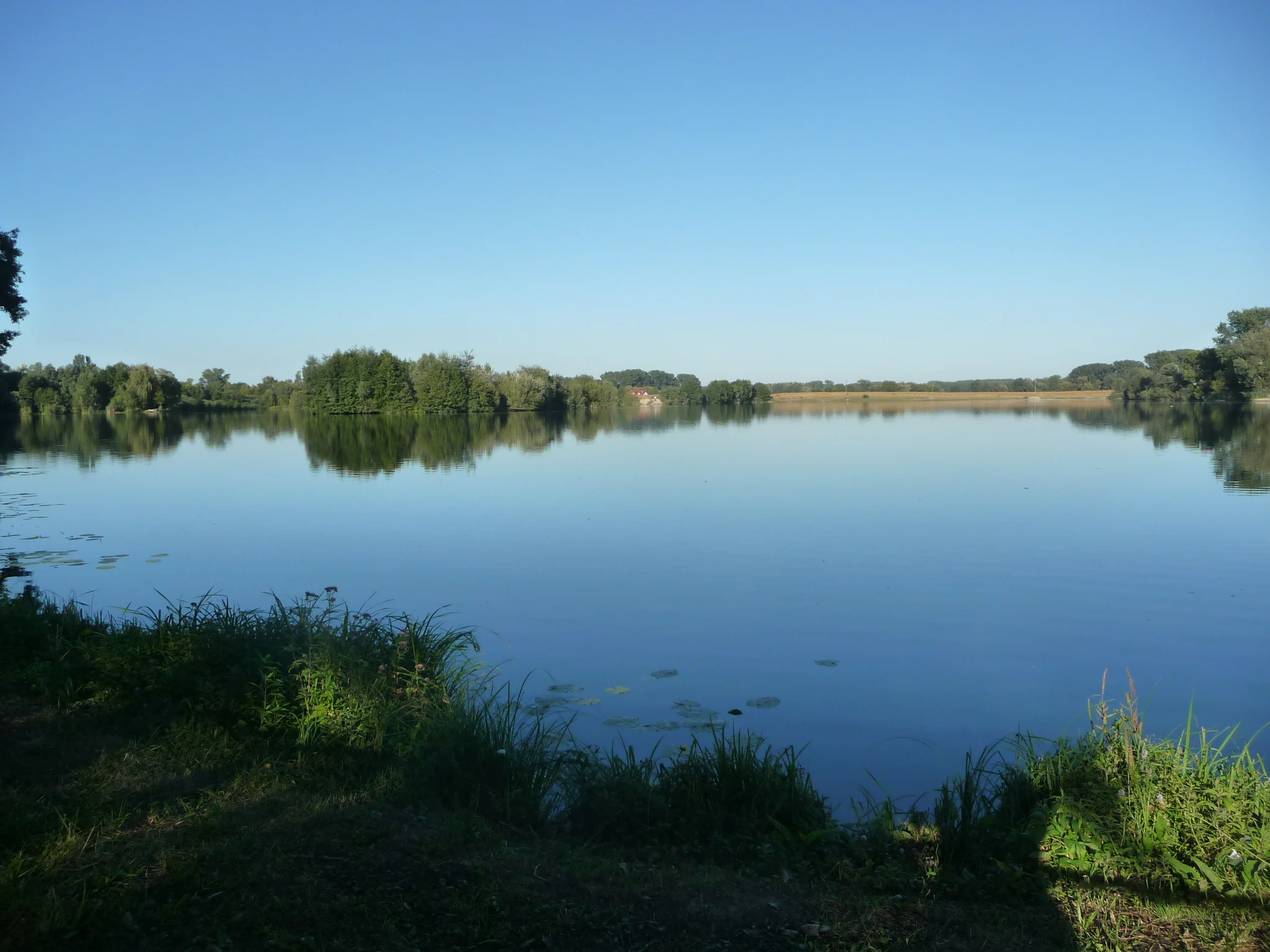 A wide view of a still, reflective pond surrounded by lush green trees and grassy banks under a clear blue sky.