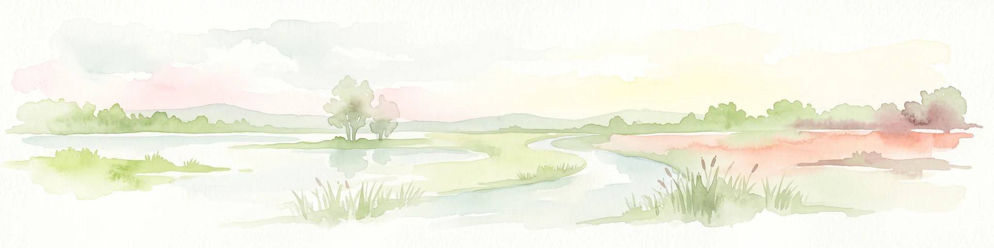 A soft, light watercolor painting of a wetland scene with a winding river branch, reeds, and low-lying greenery under a hazy sky.