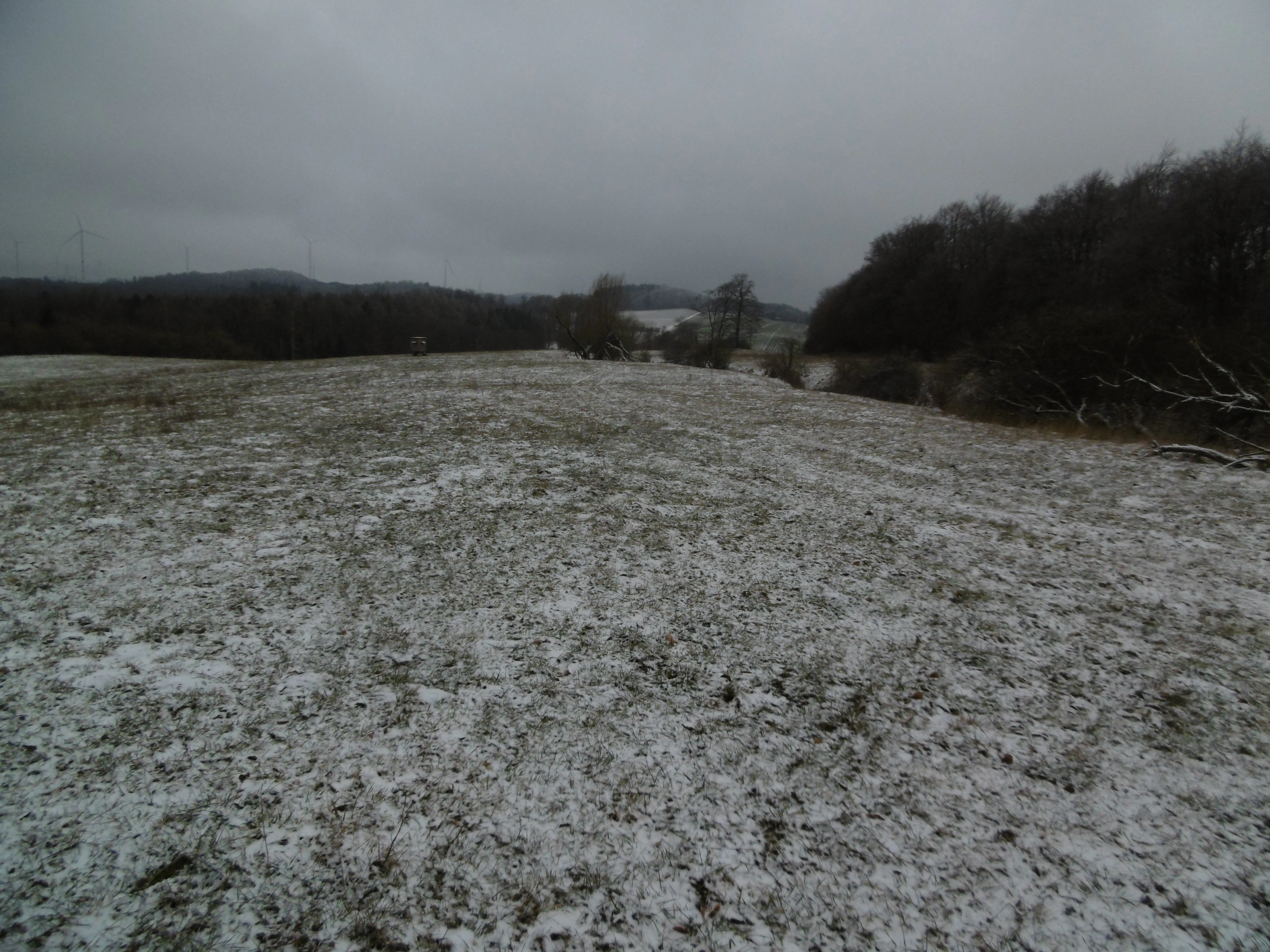 A wide view of a grassy field lightly covered in snow, with bare trees and a forested hill in the background under a grey, overcast sky.